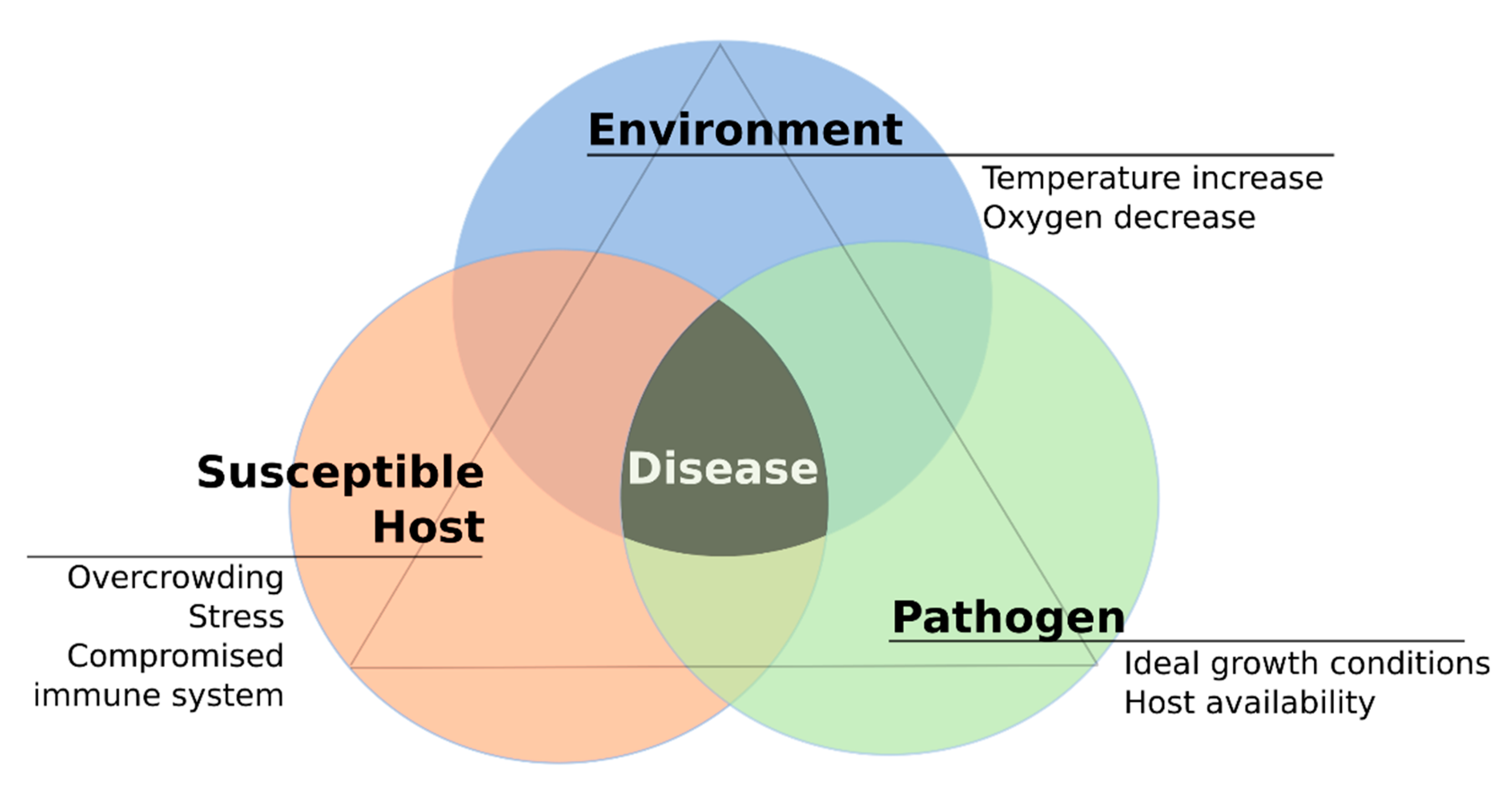 Pathogens 10 01205 g002