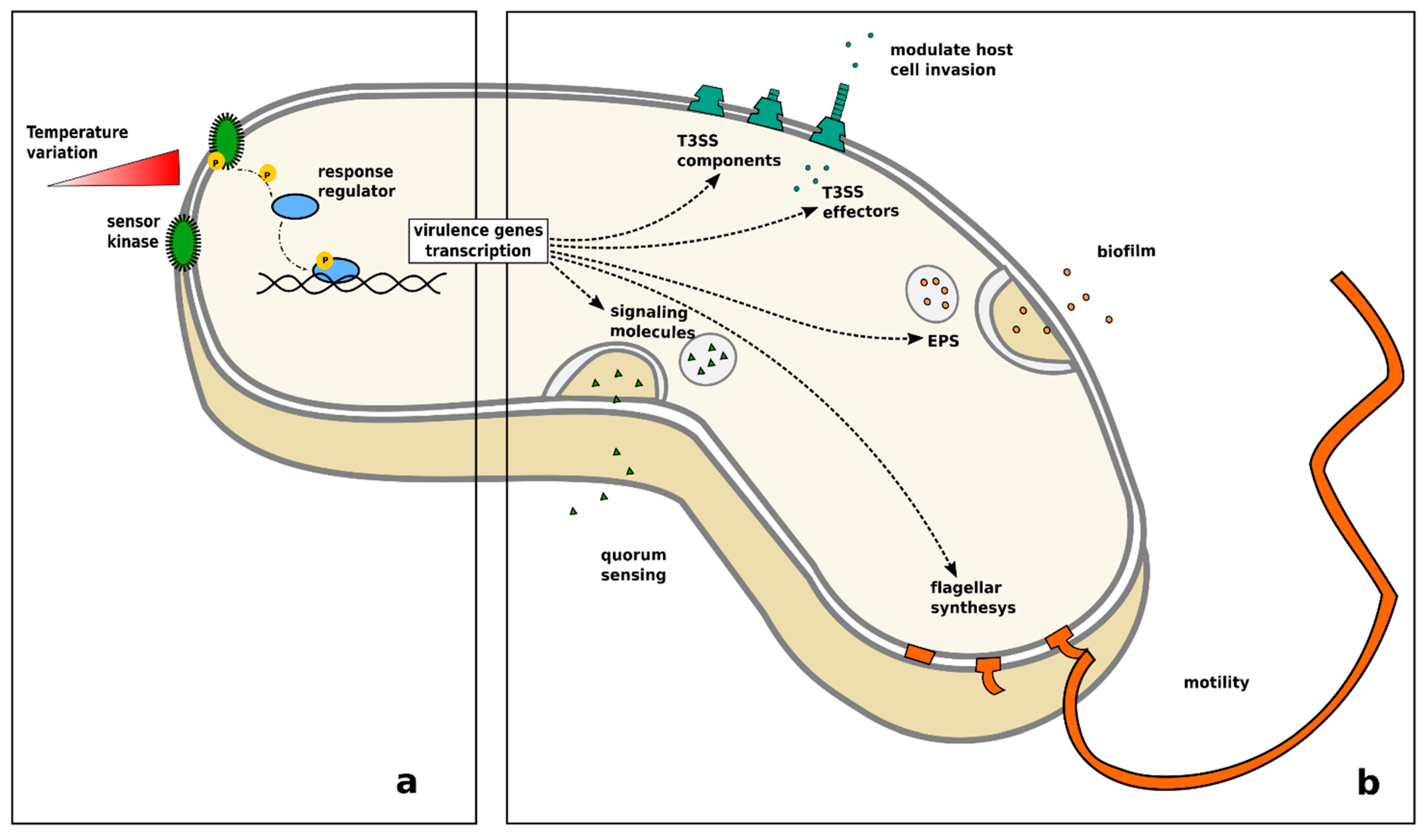 Pathogens 10 01205 g004