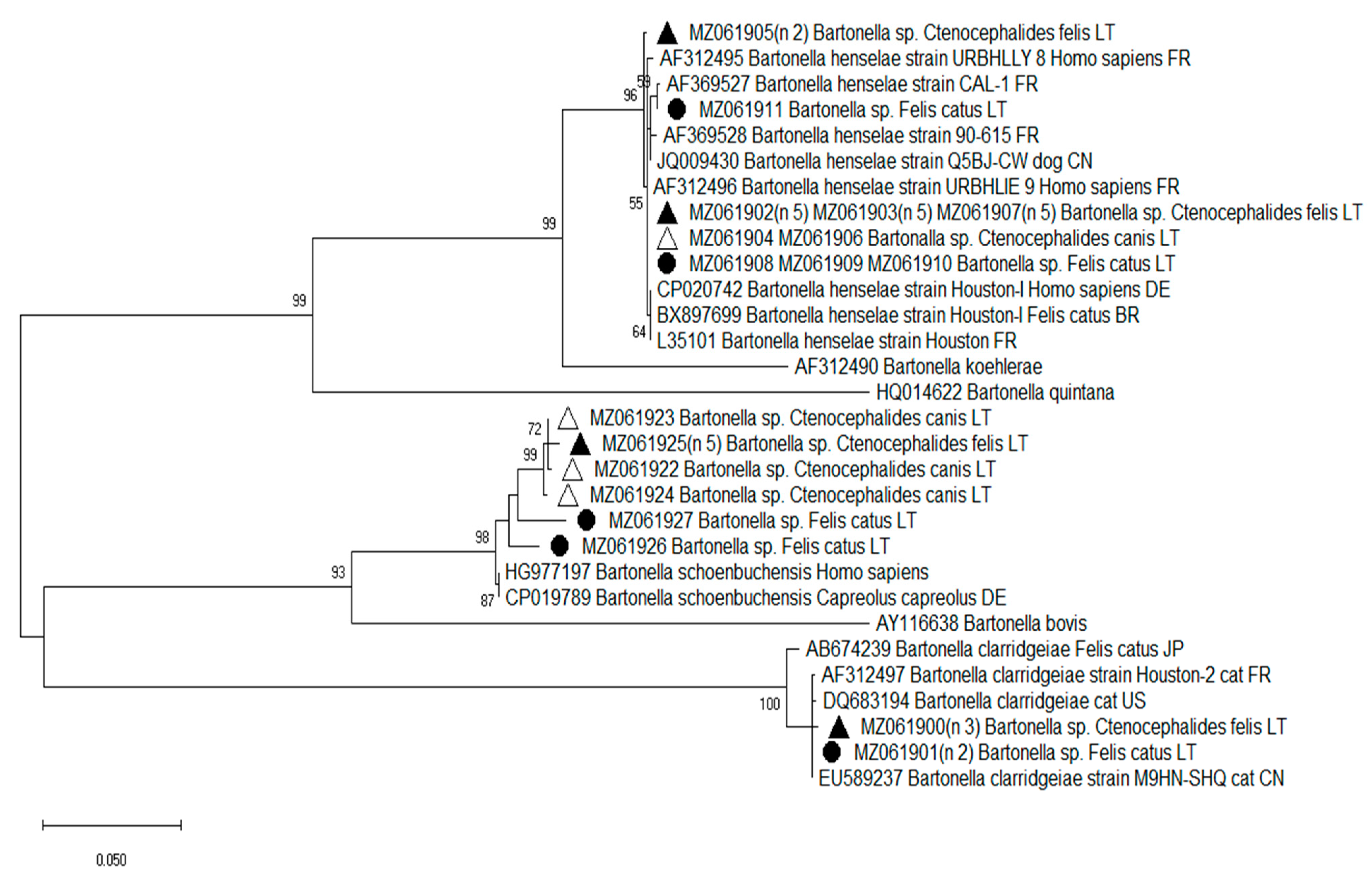 Pathogens 10 01209 g001 Pathogens 10 01209 g001