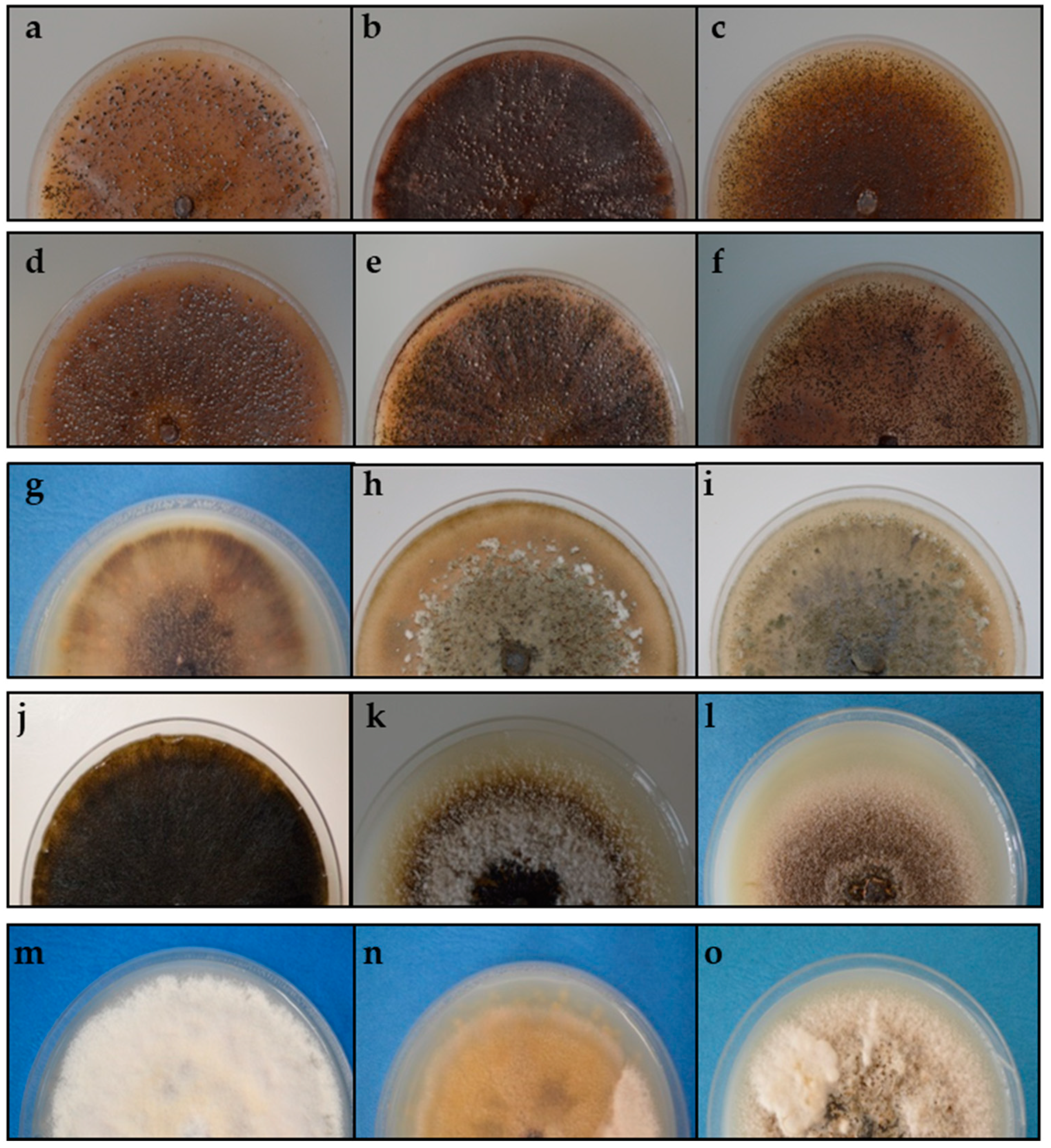 Pathogens 10 01216 g002 Pathogens 10 01216 g002