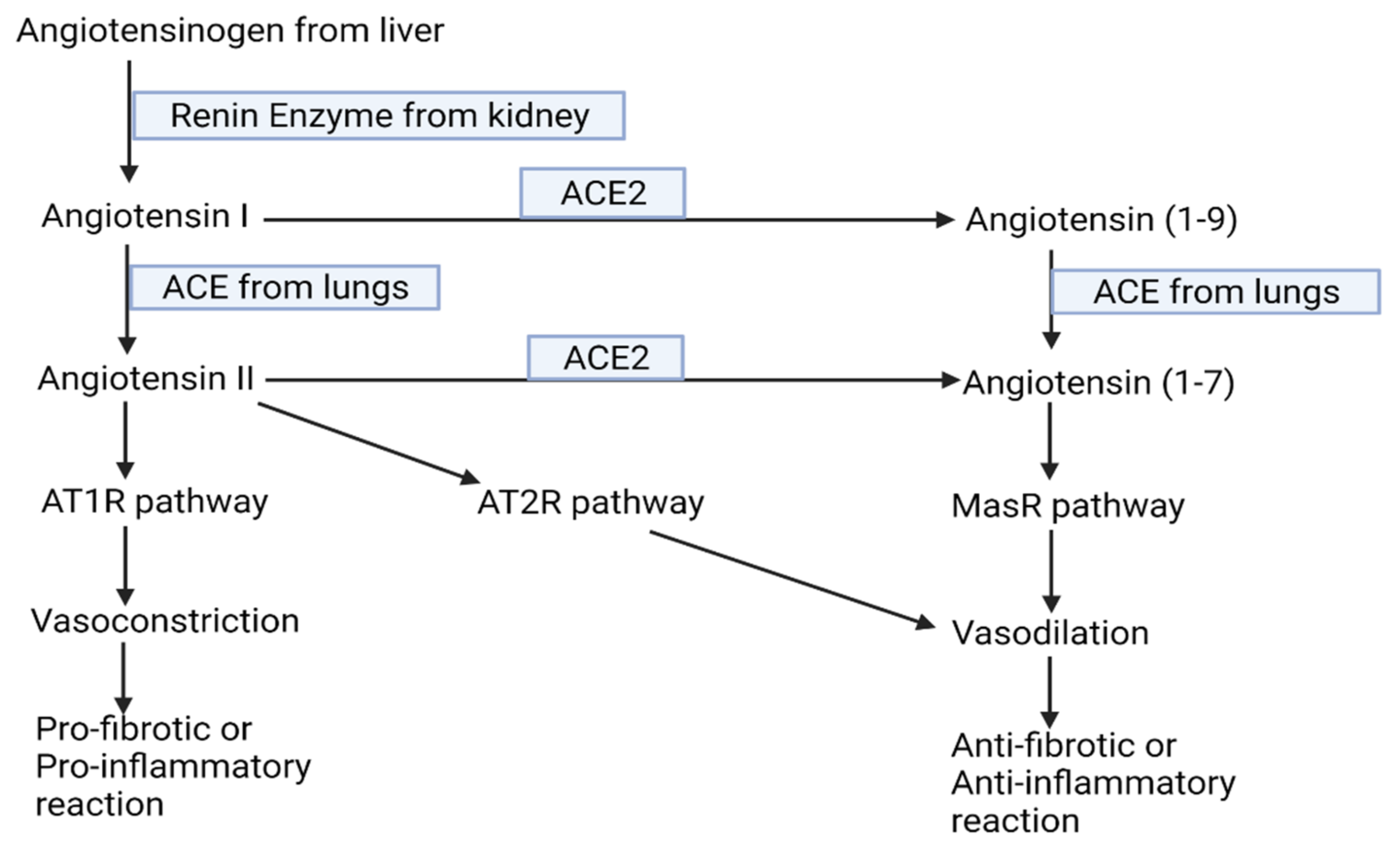 Pathogens 10 01218 g001