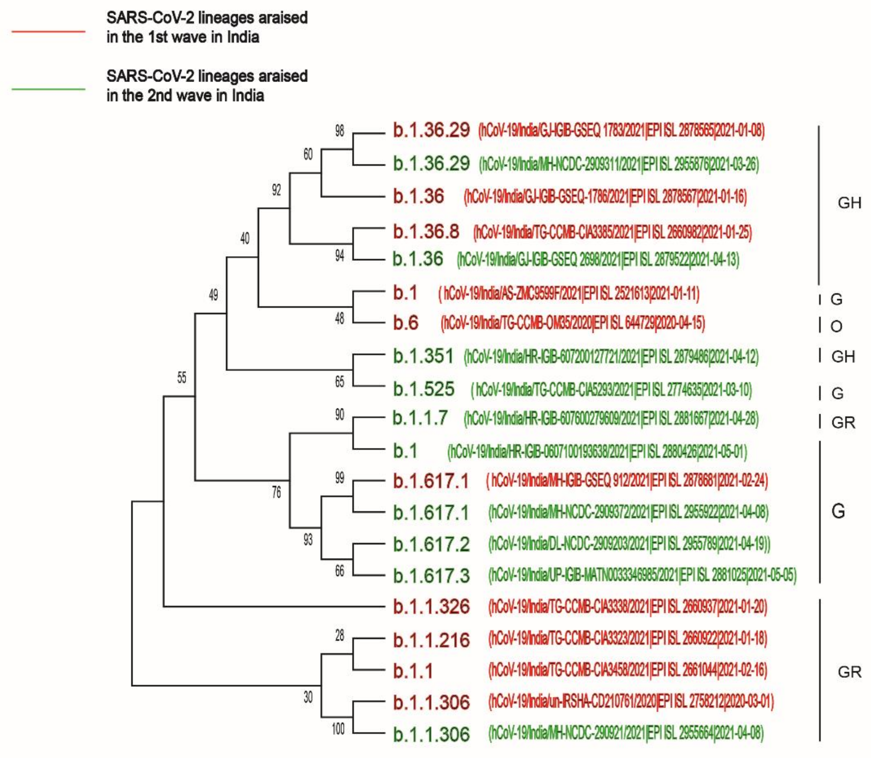 Pathogens 10 01222 g004 Pathogens 10 01222 g004