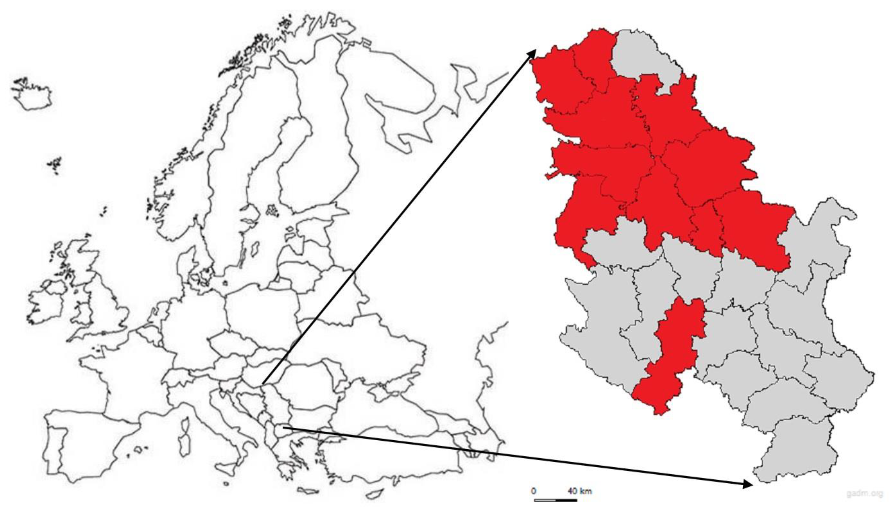 Pathogens 10 01294 g003