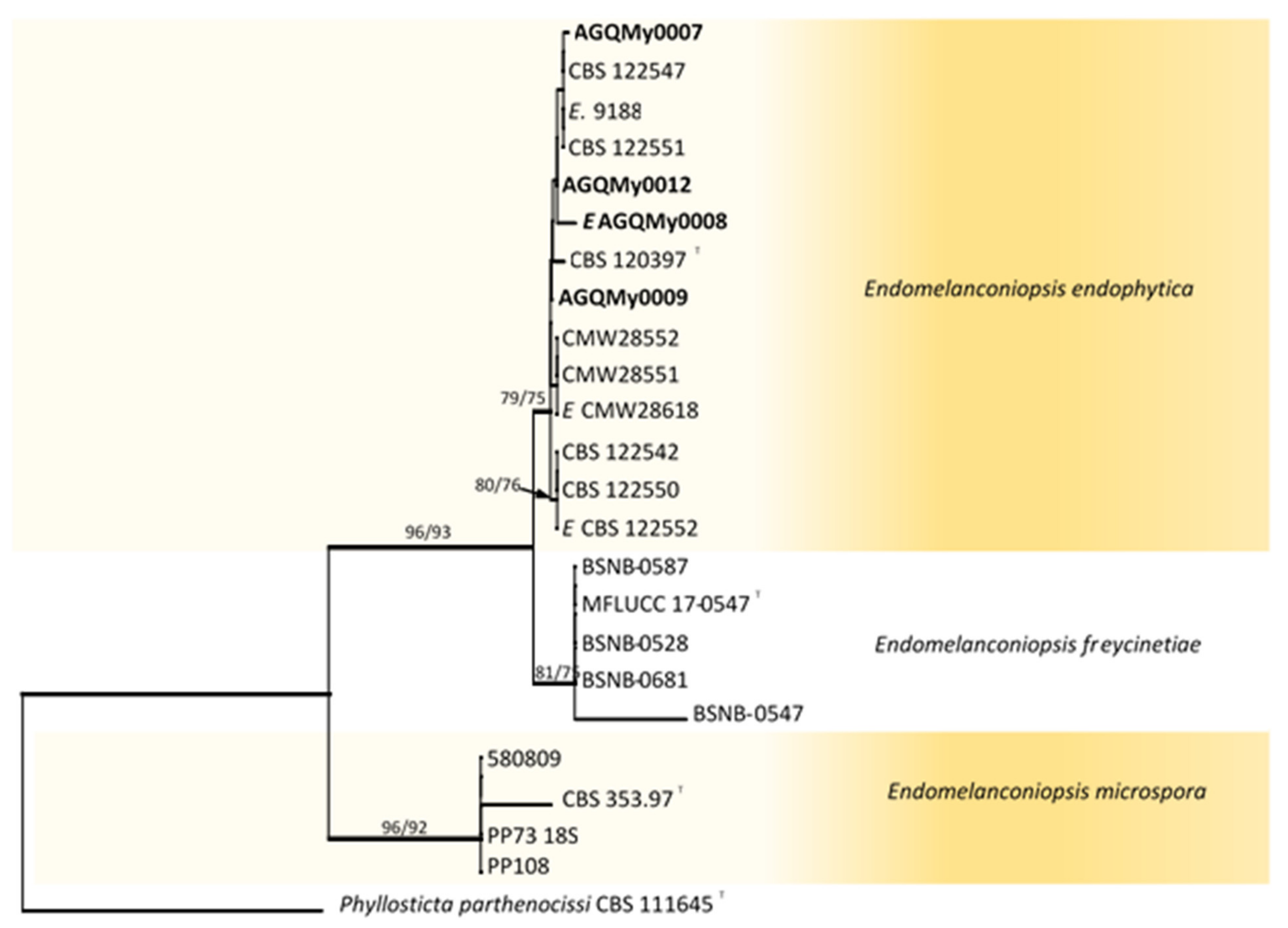 Pathogens 10 01297 g001