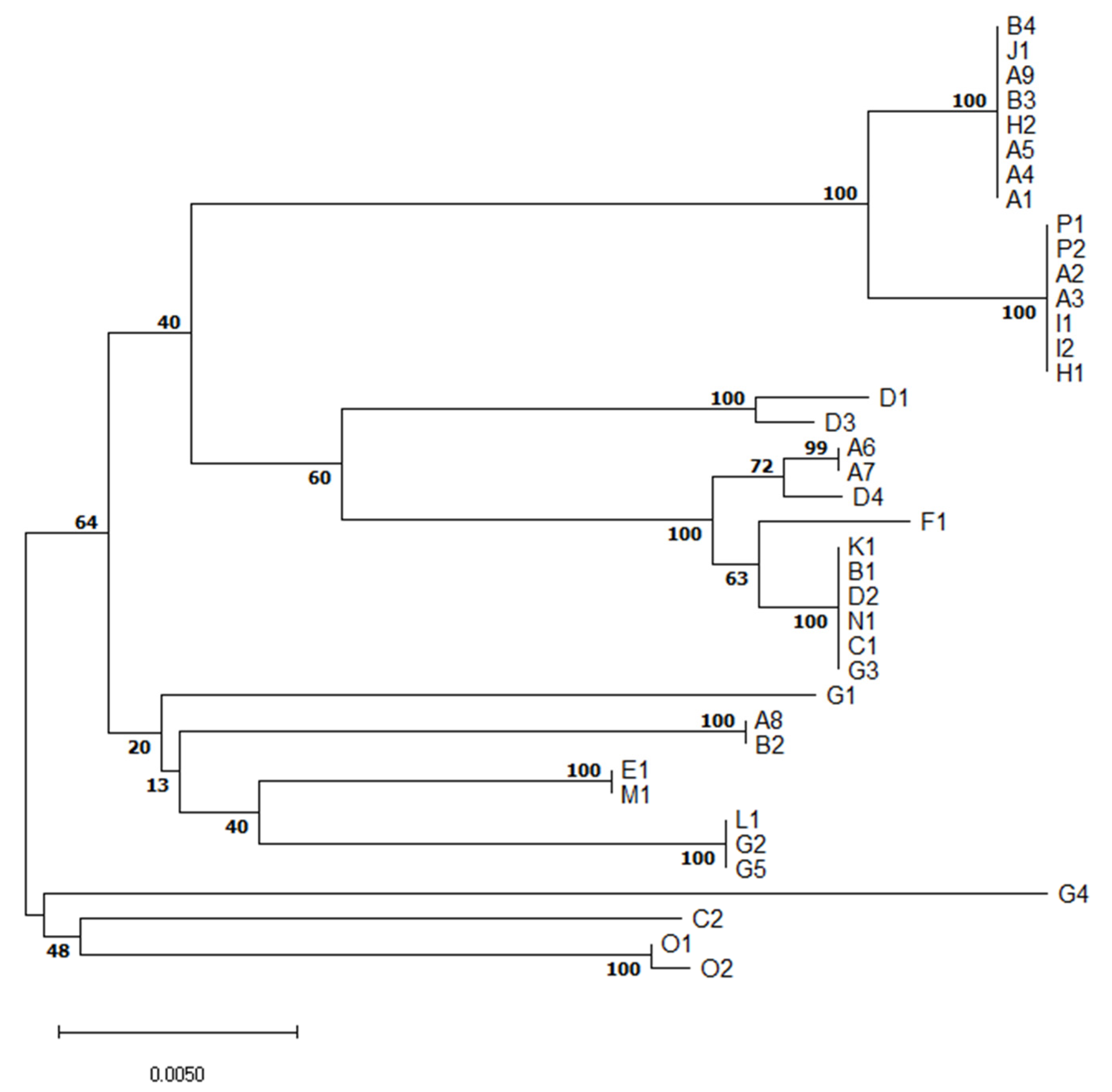 Pathogens 10 01314 g002