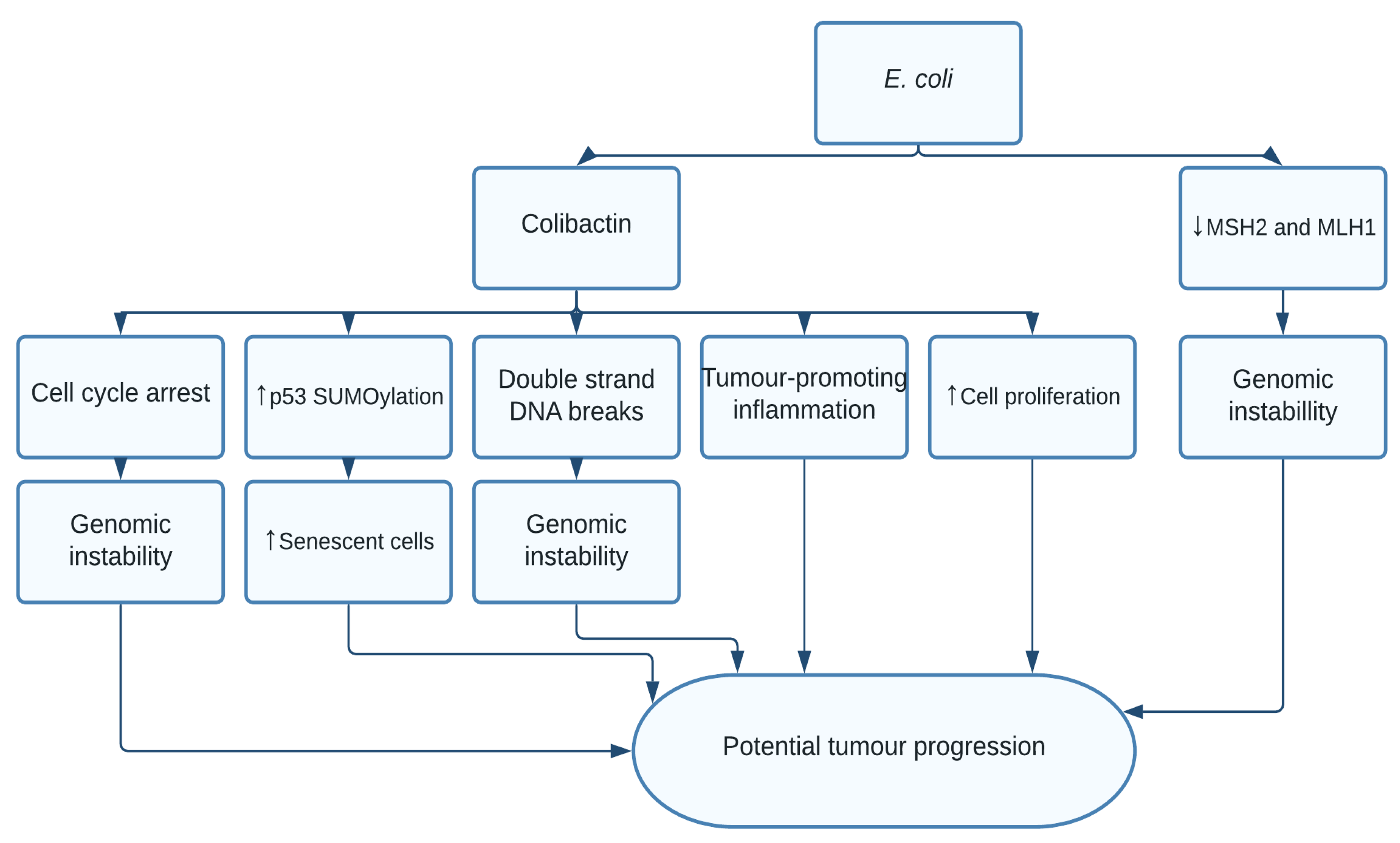 Pathogens 10 01321 g004