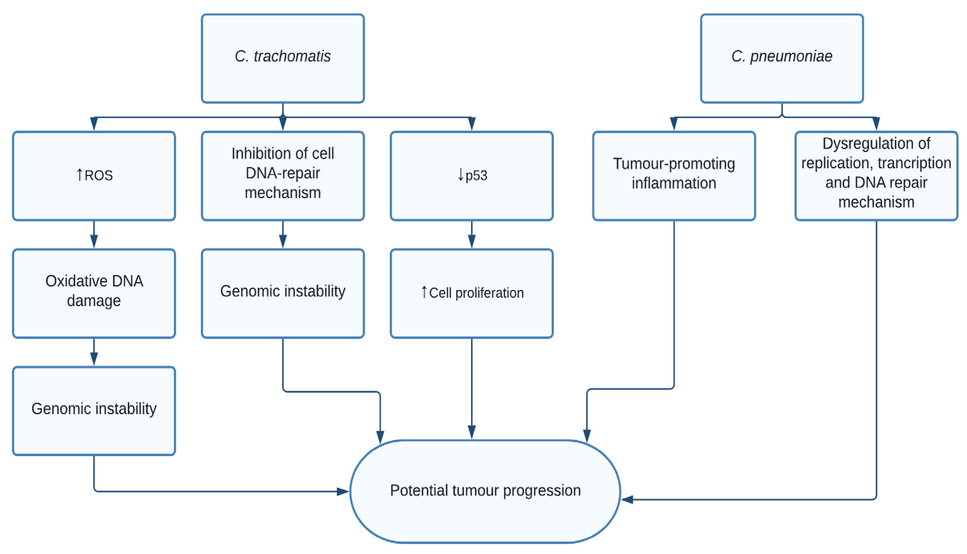 Pathogens 10 01321 g005