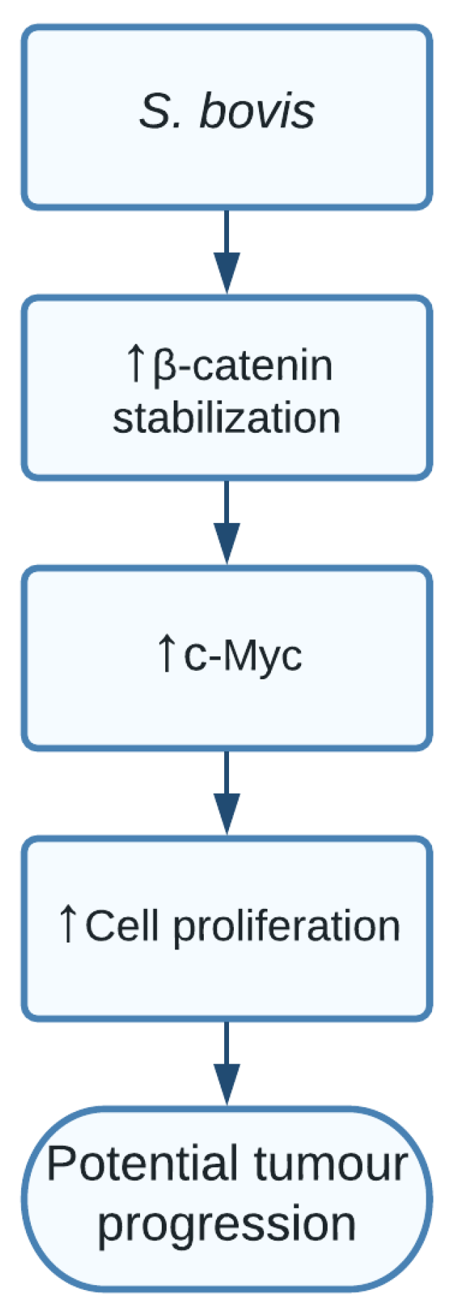 Pathogens 10 01321 g007
