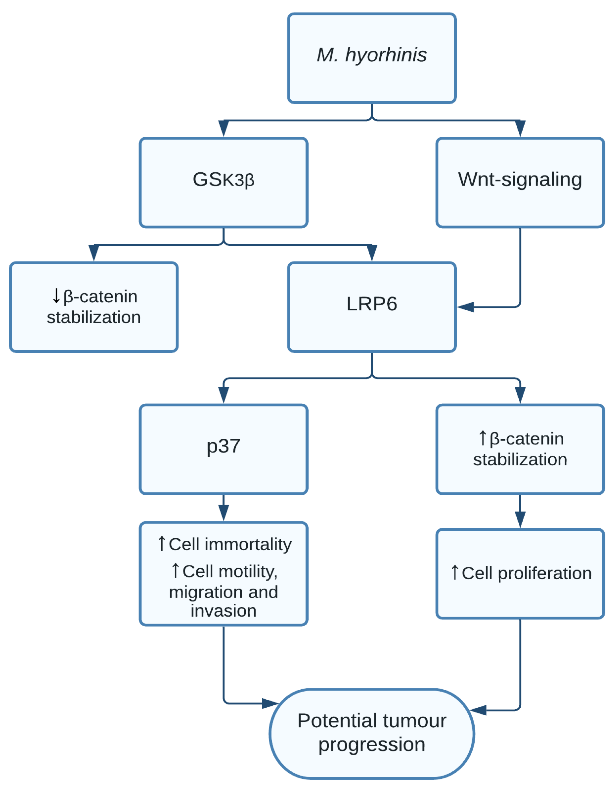 Pathogens 10 01321 g008