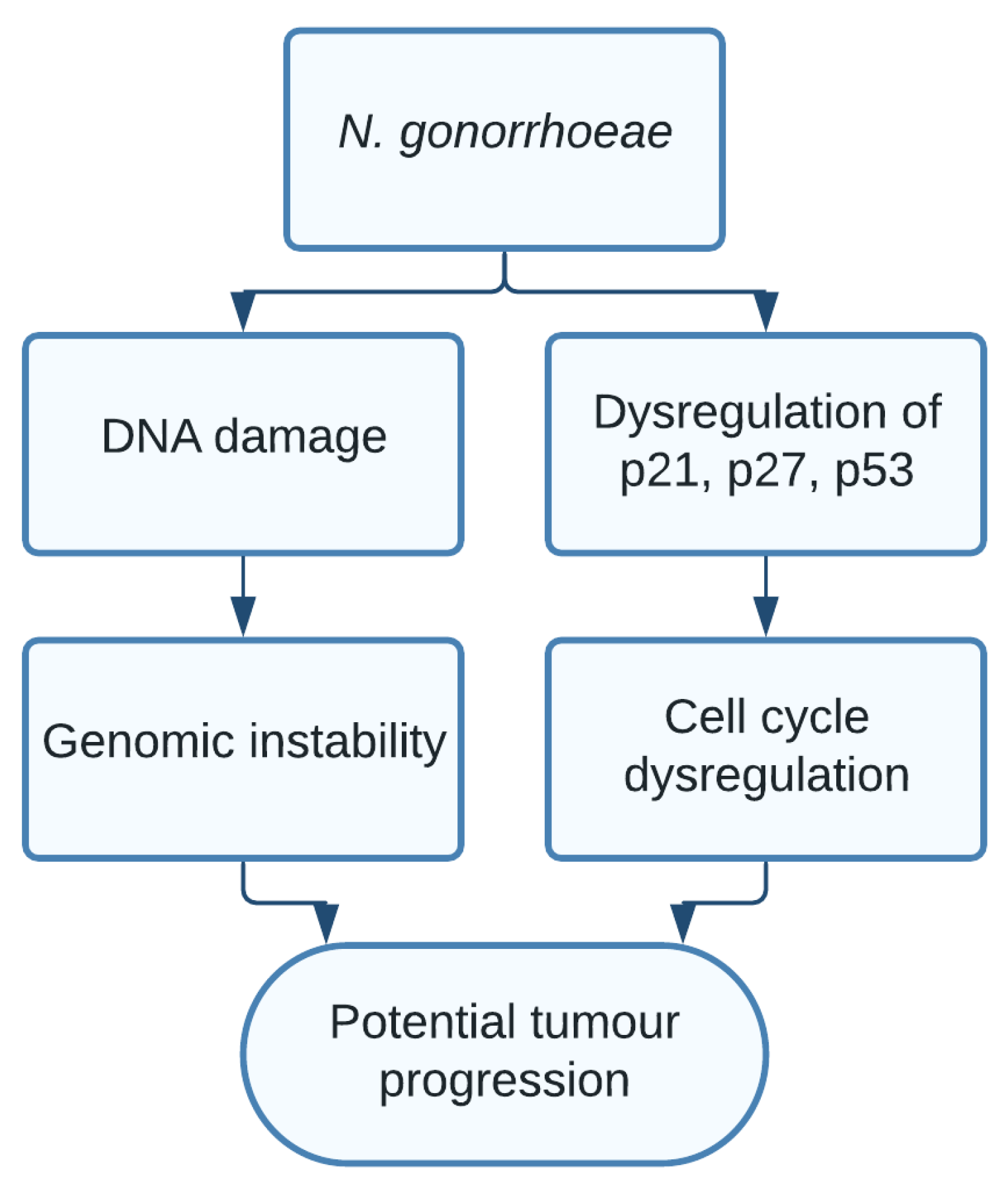 Pathogens 10 01321 g010