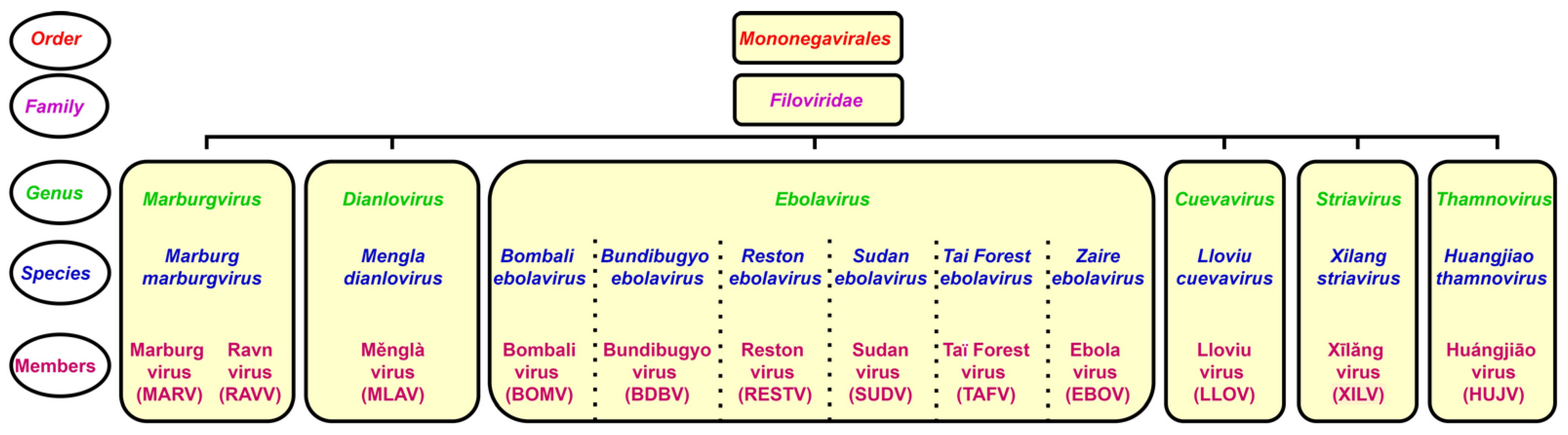 Pathogens 10 01330 g001