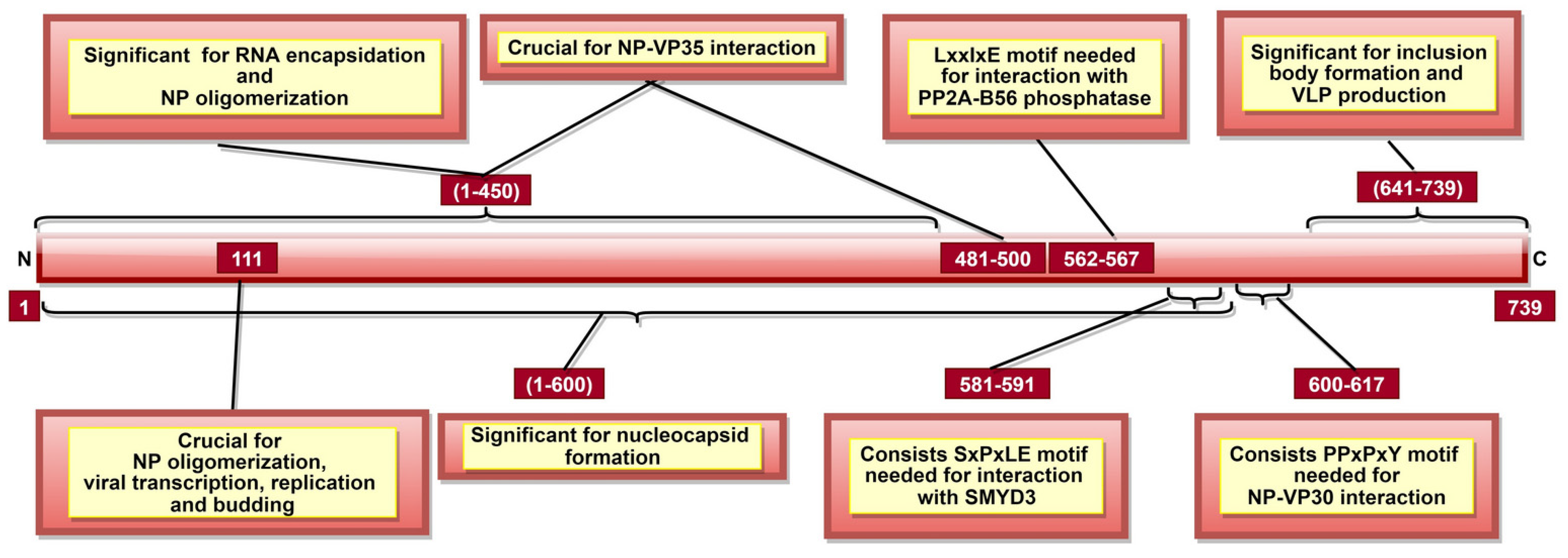 Pathogens 10 01330 g004