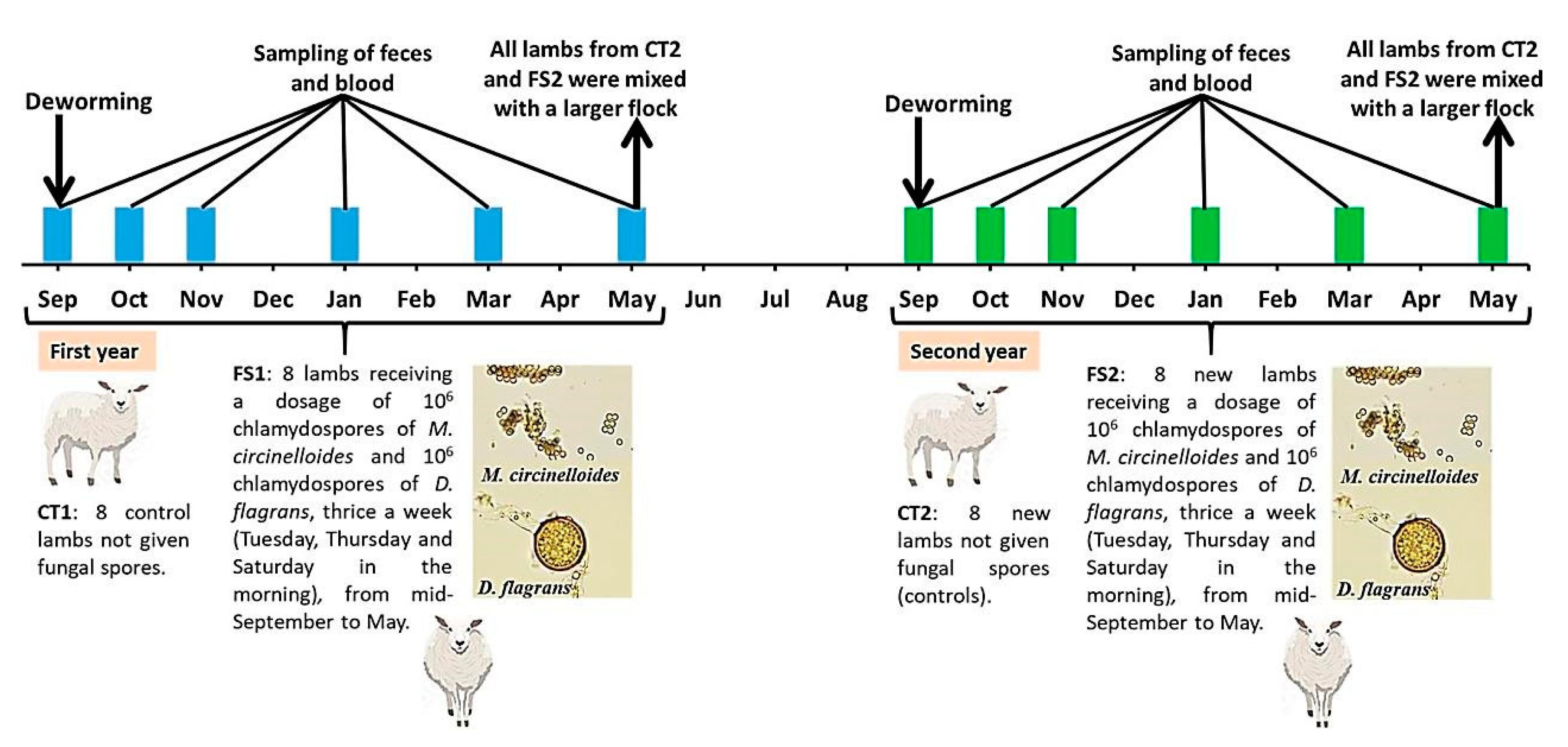 Pathogens 10 01338 g002