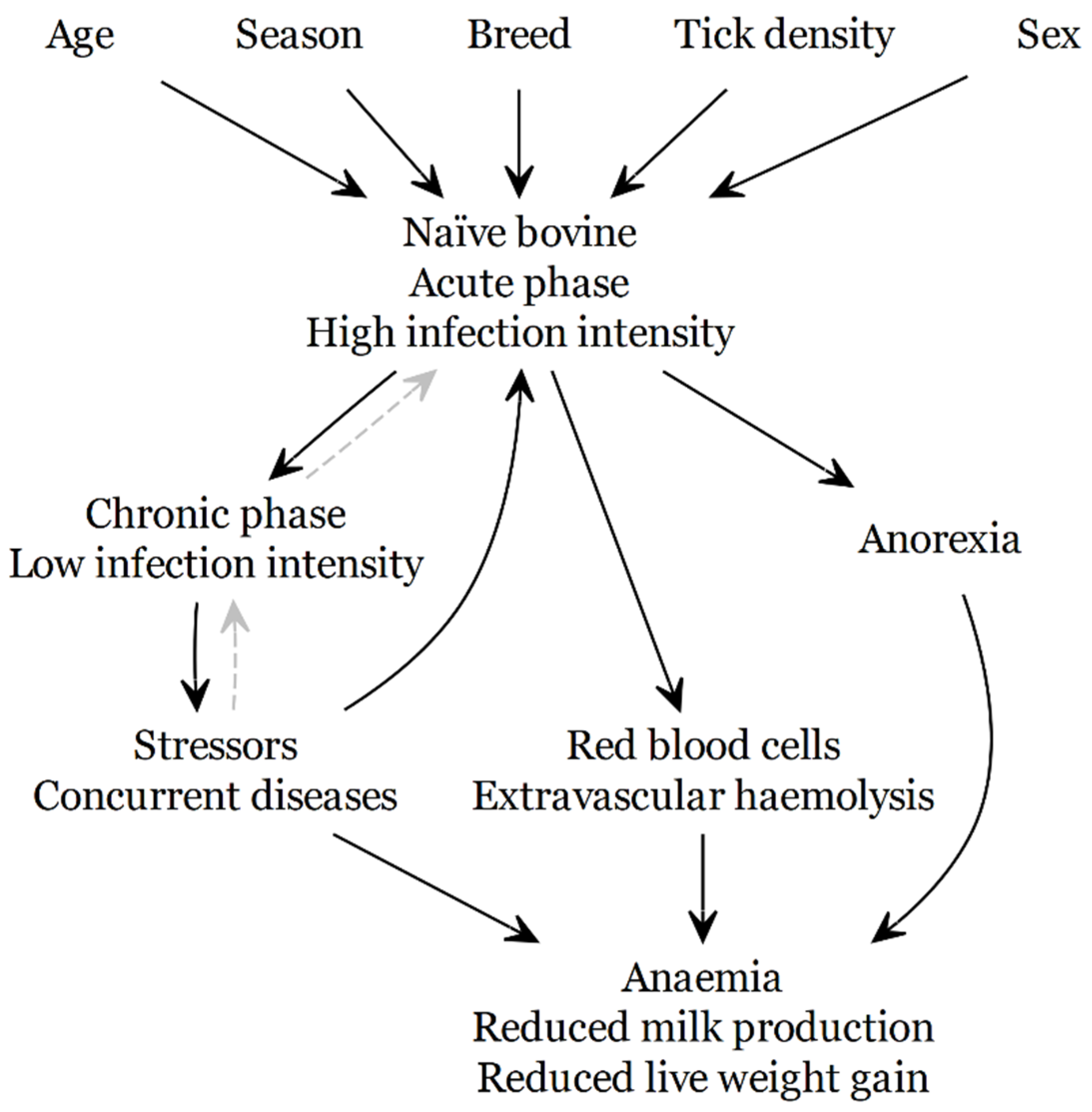 Pathogens 10 01346 g008