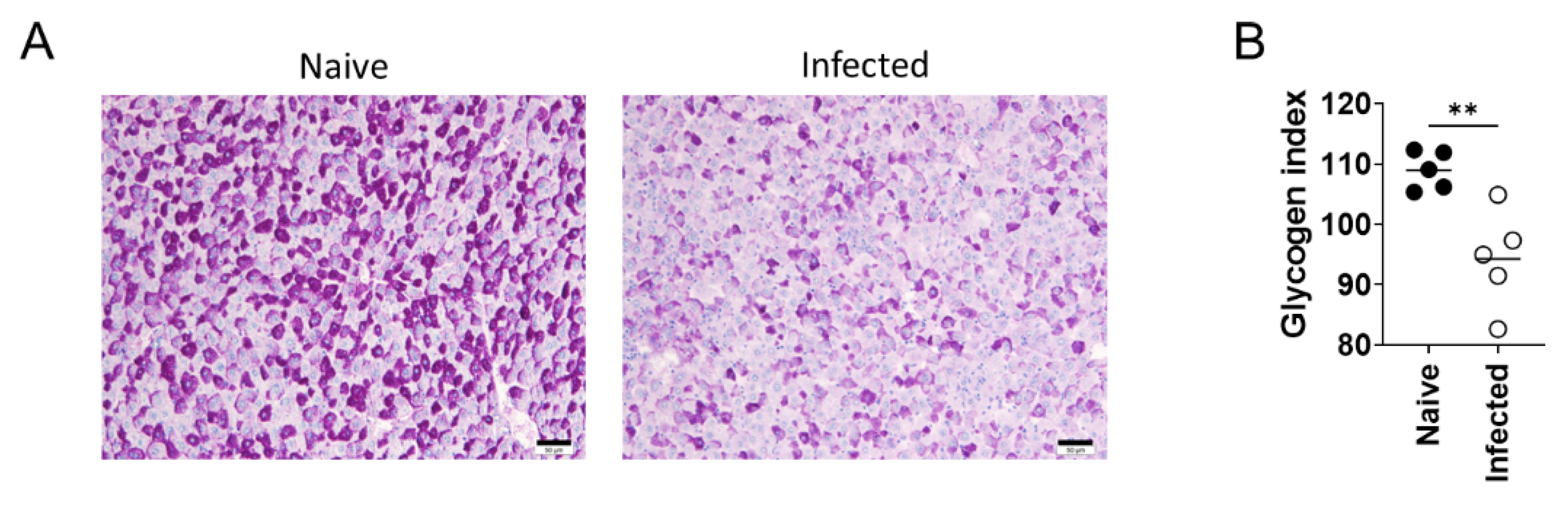 Pathogens 10 01356 g002a