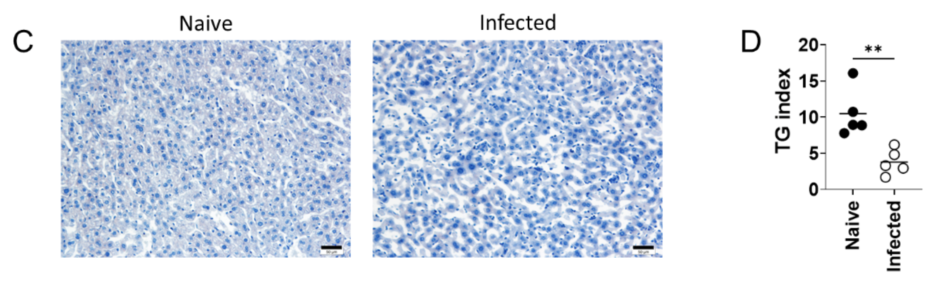 Pathogens 10 01356 g002b
