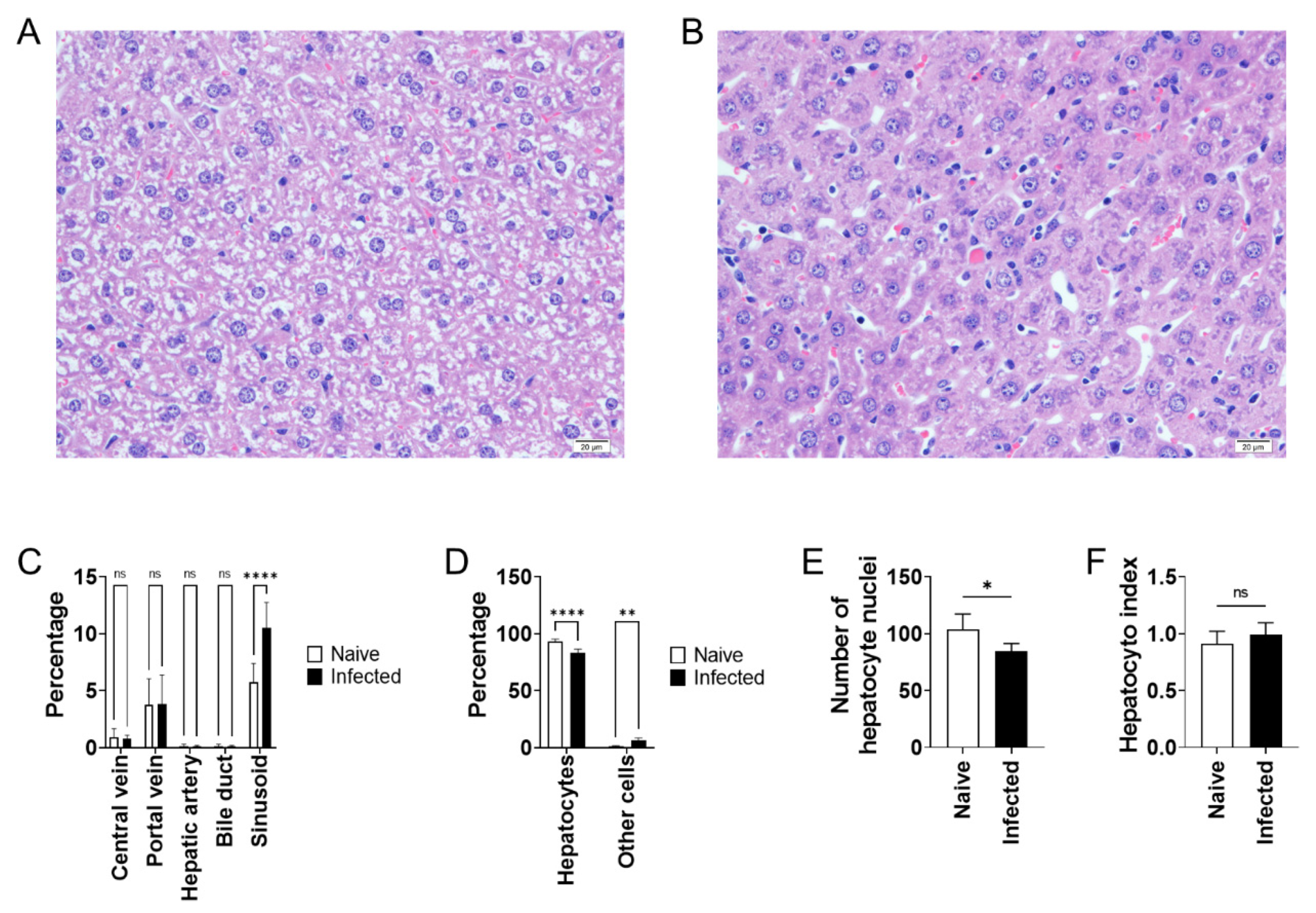 Pathogens 10 01356 g004