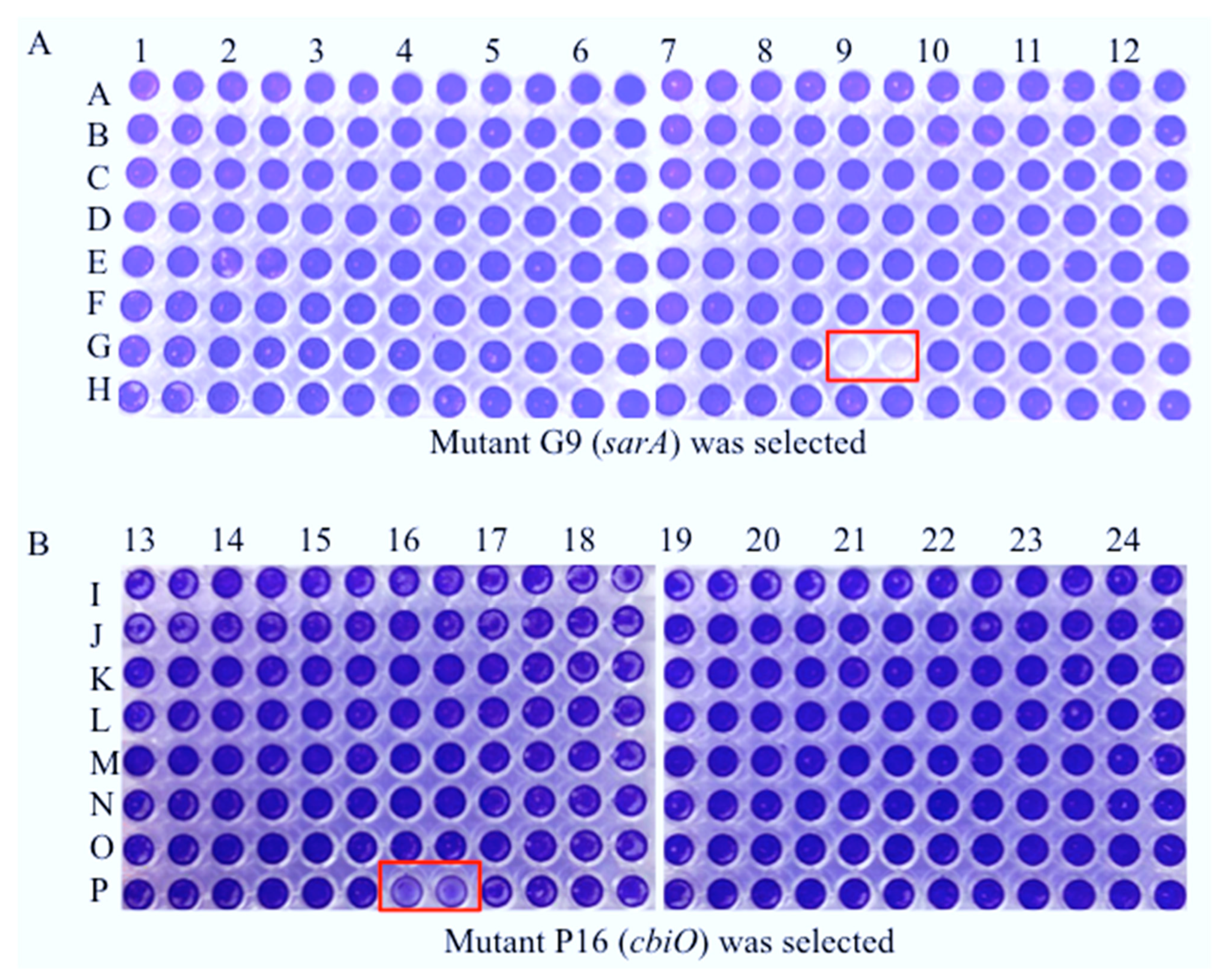 Pathogens 10 01363 g002
