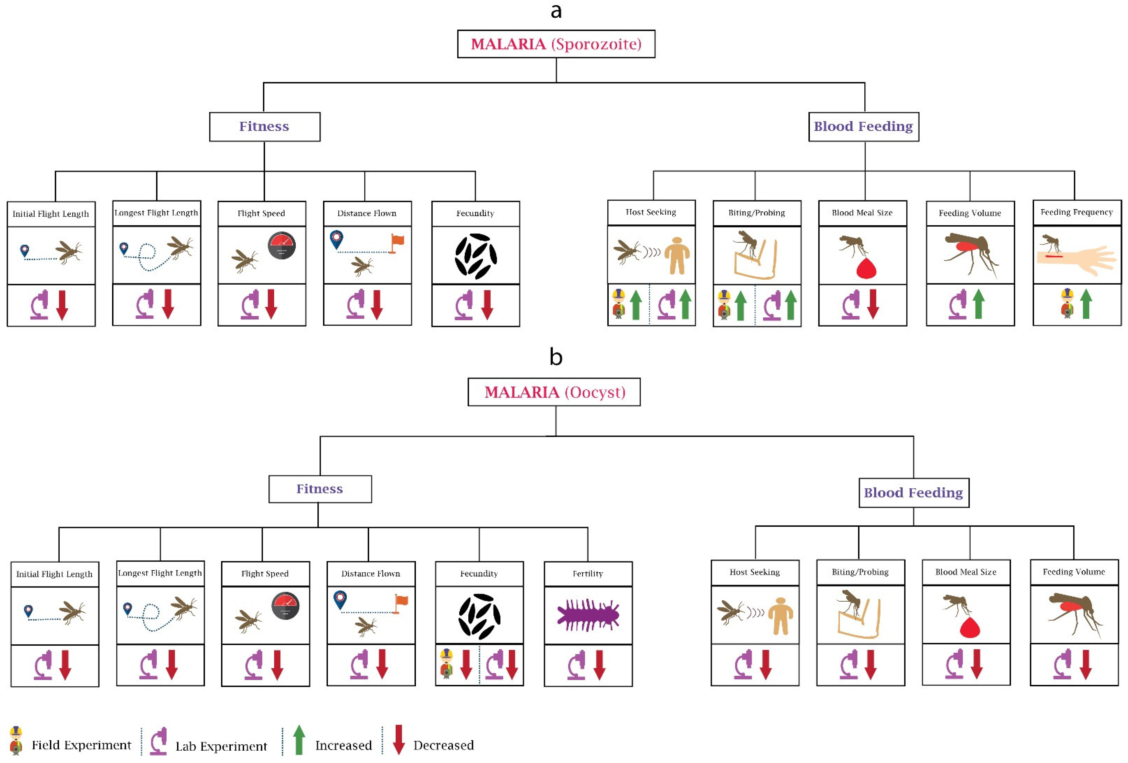 Pathogens 10 01376 g001