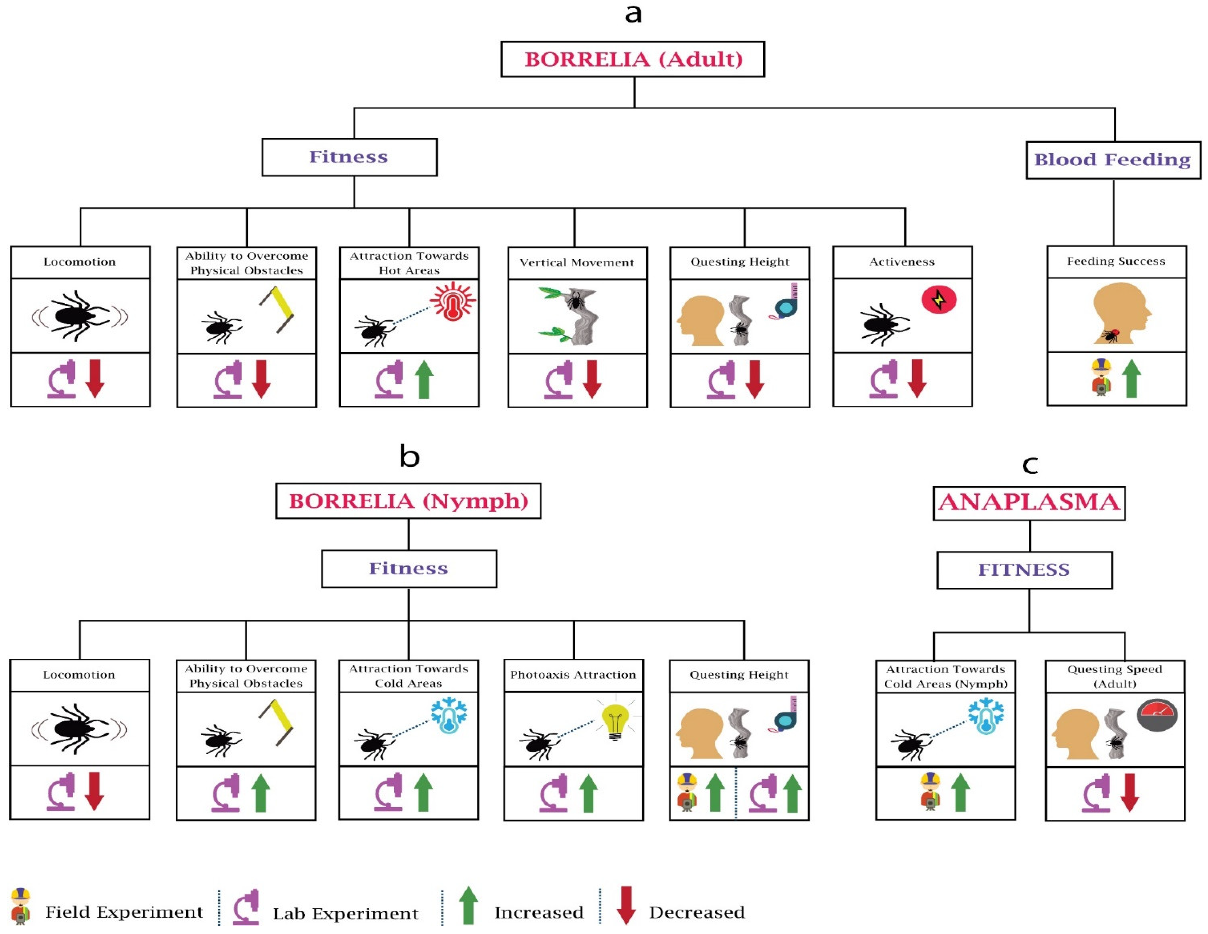 Pathogens 10 01376 g003