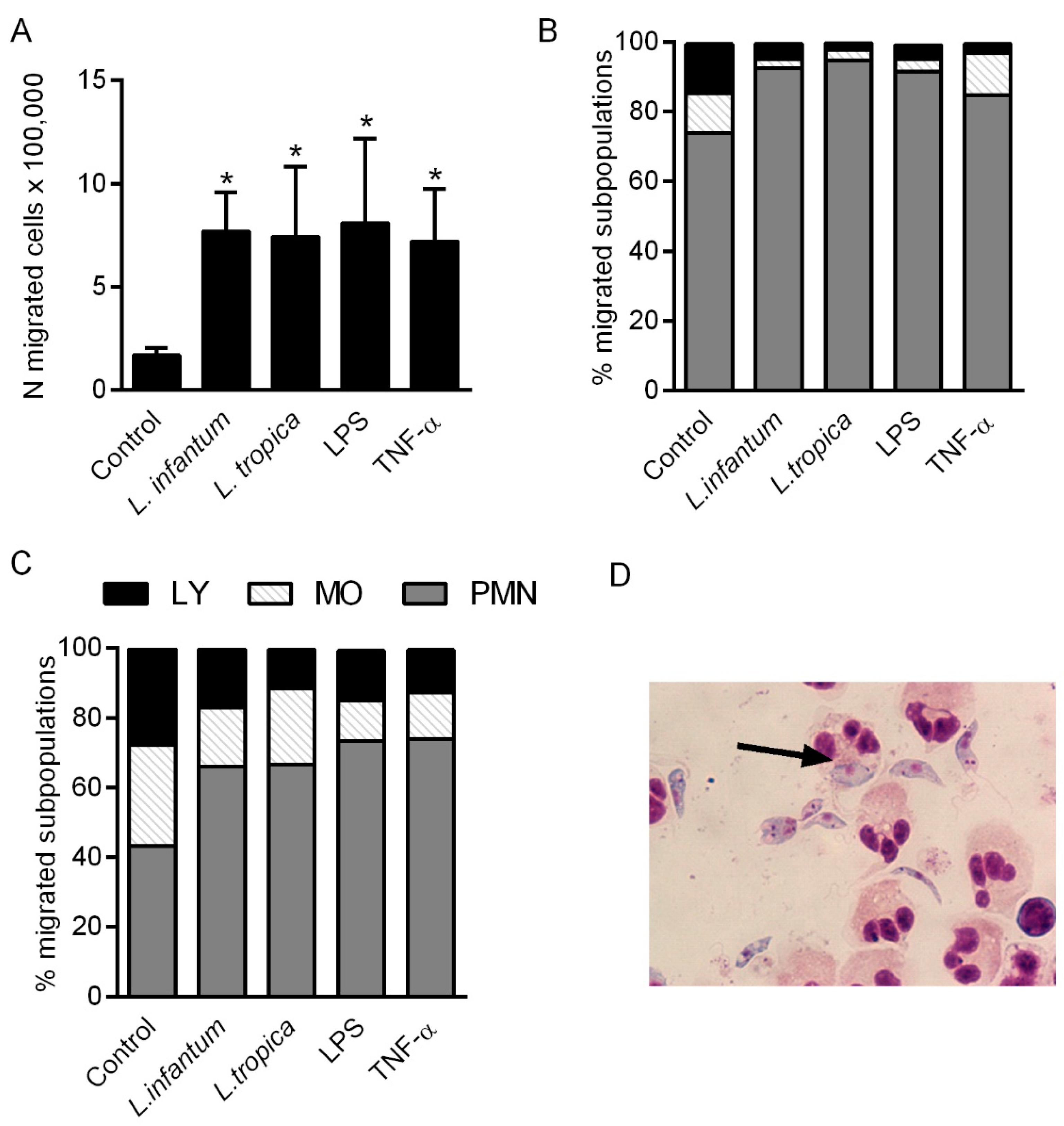 Pathogens 10 01380 g006 Pathogens 10 01380 g006