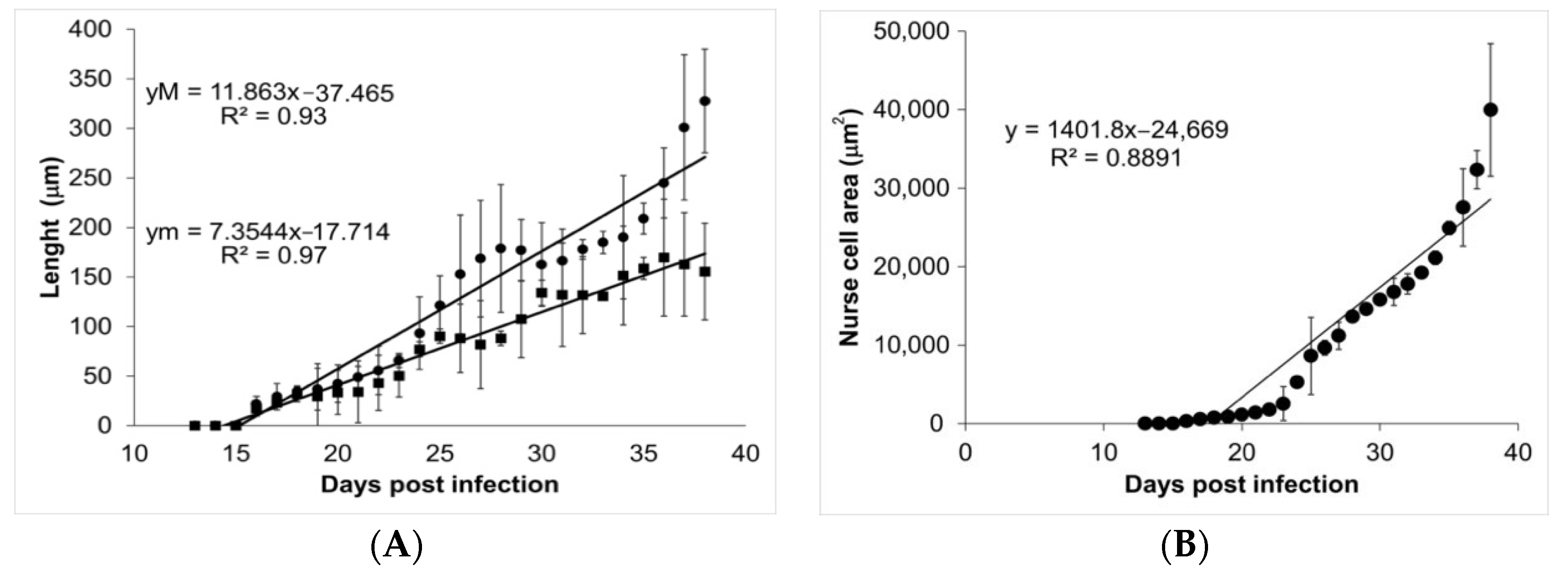 Pathogens 10 01382 g004