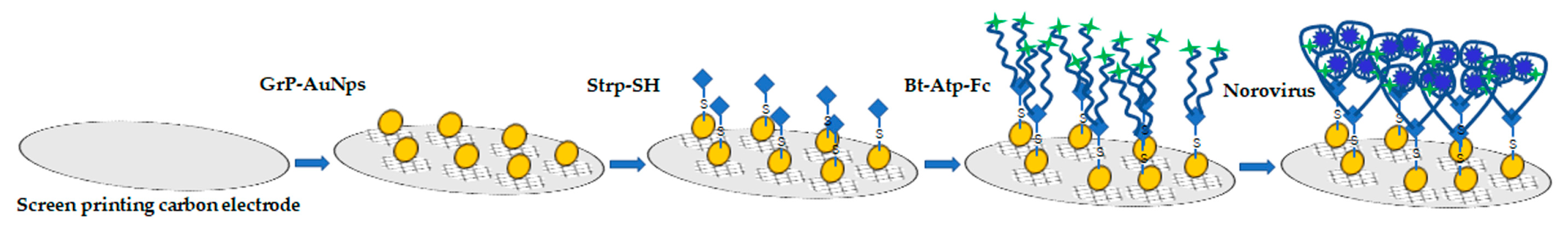 Pathogens 10 01383 g004 Pathogens 10 01383 g004