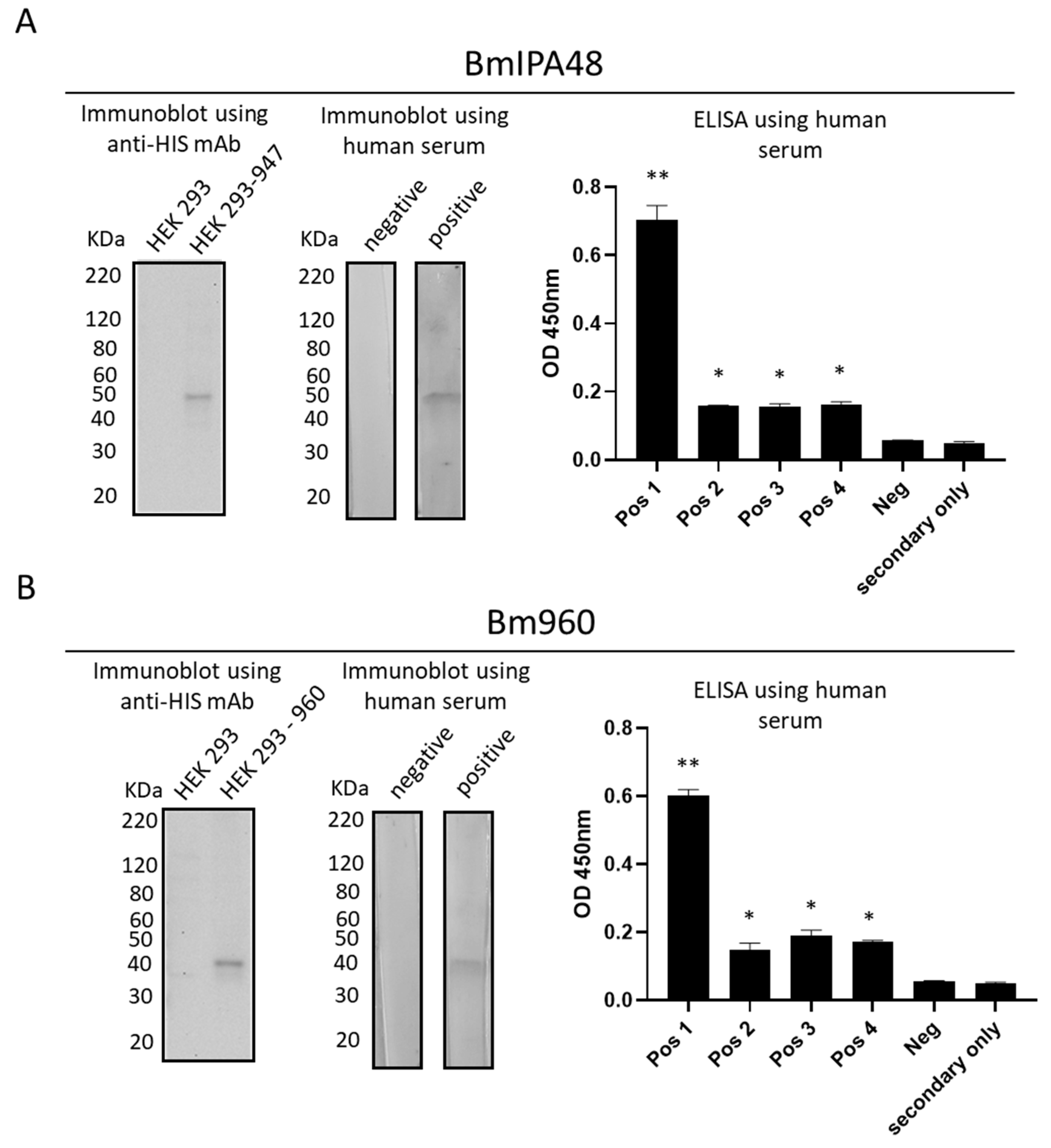 Pathogens 10 01384 g006