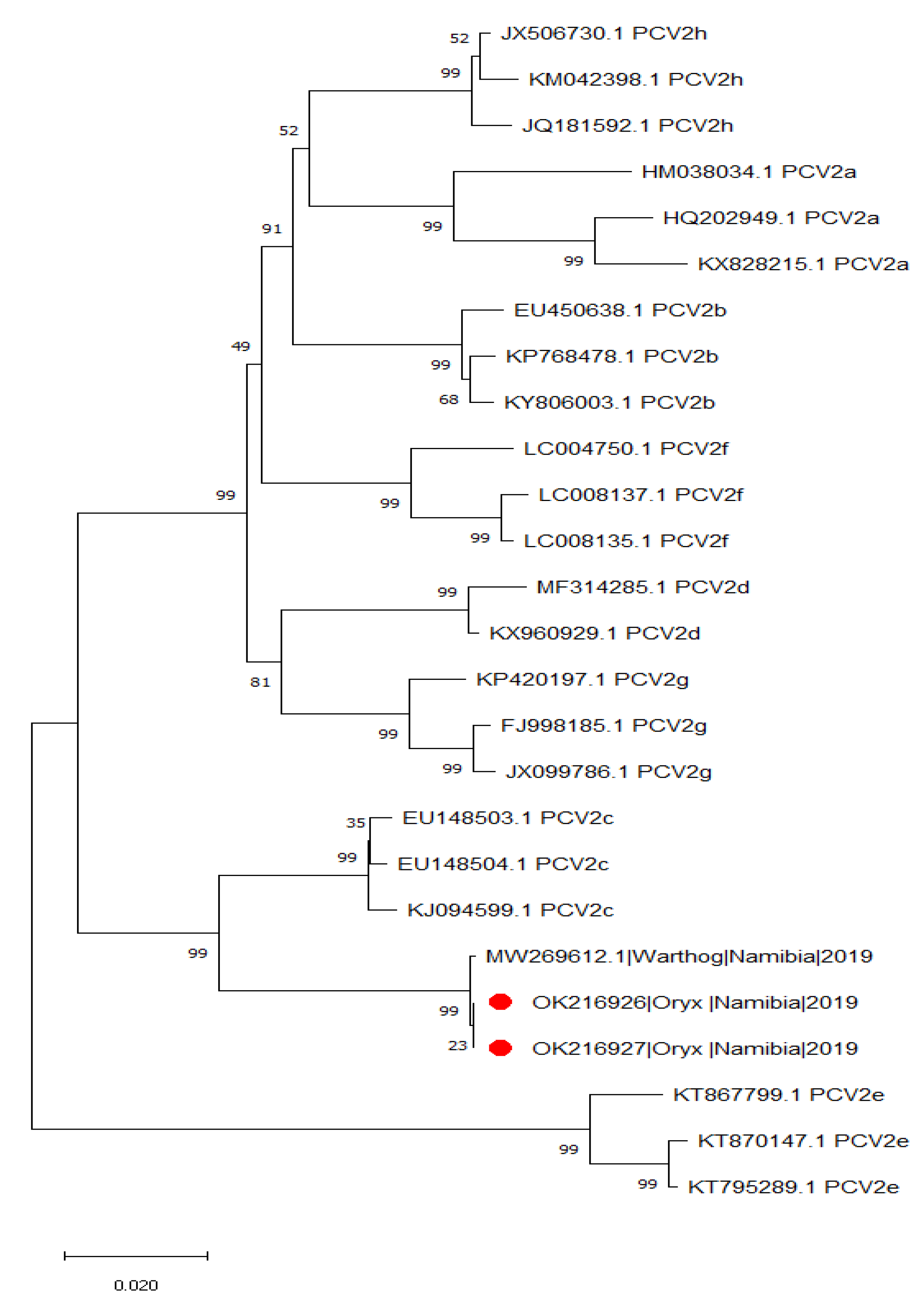 Pathogens 10 01402 g001