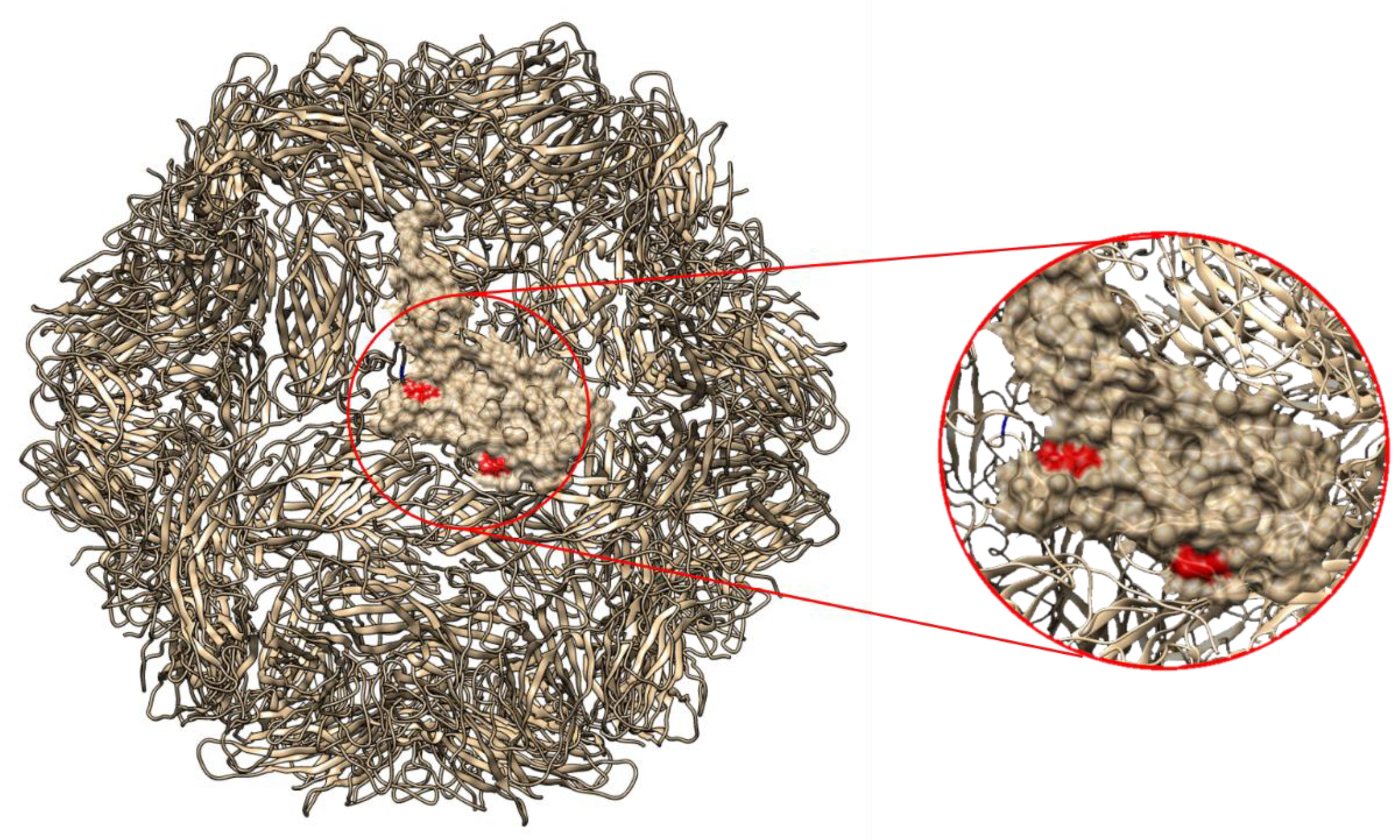 Pathogens 10 01402 g002