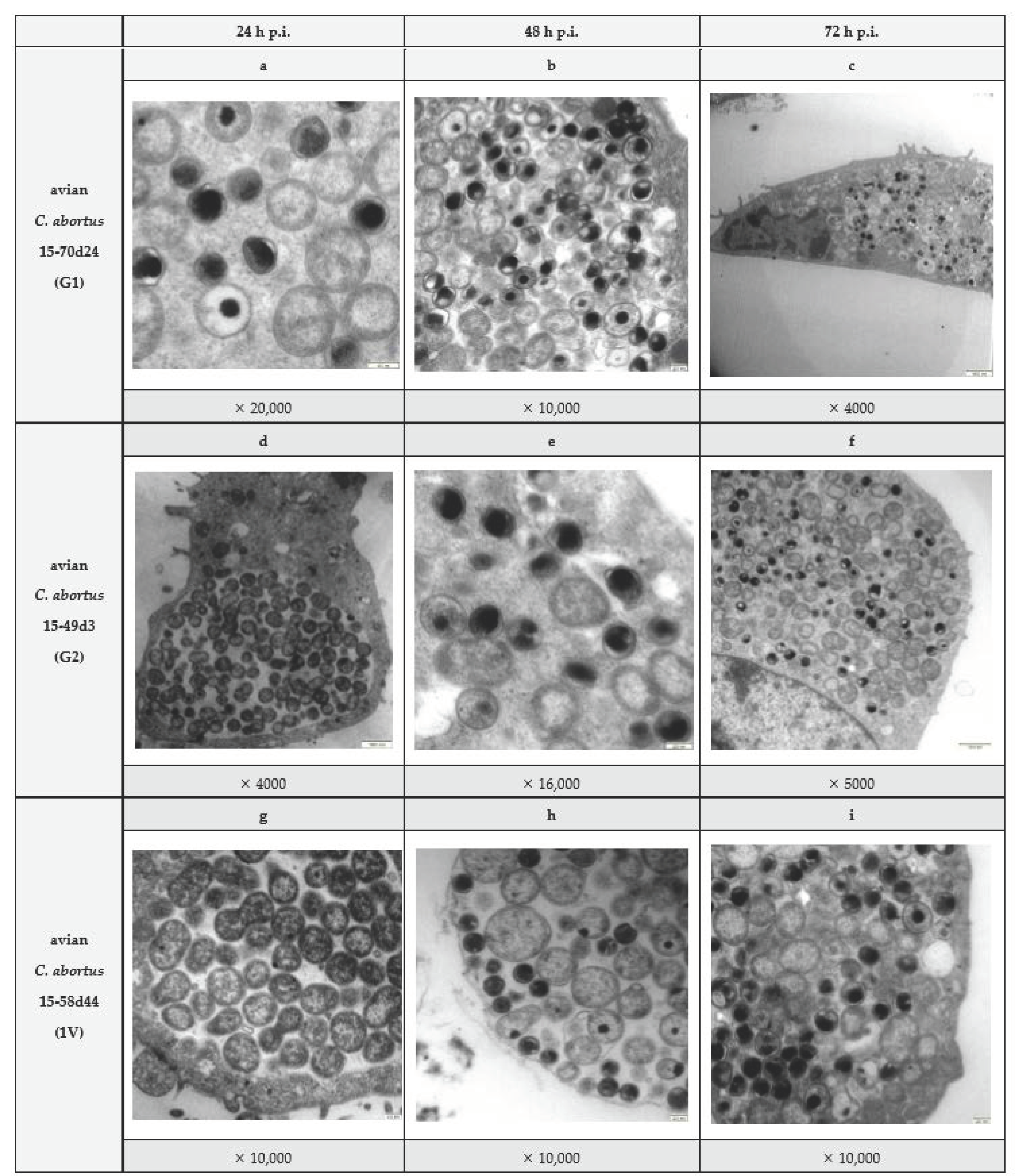 Pathogens 10 01405 g001