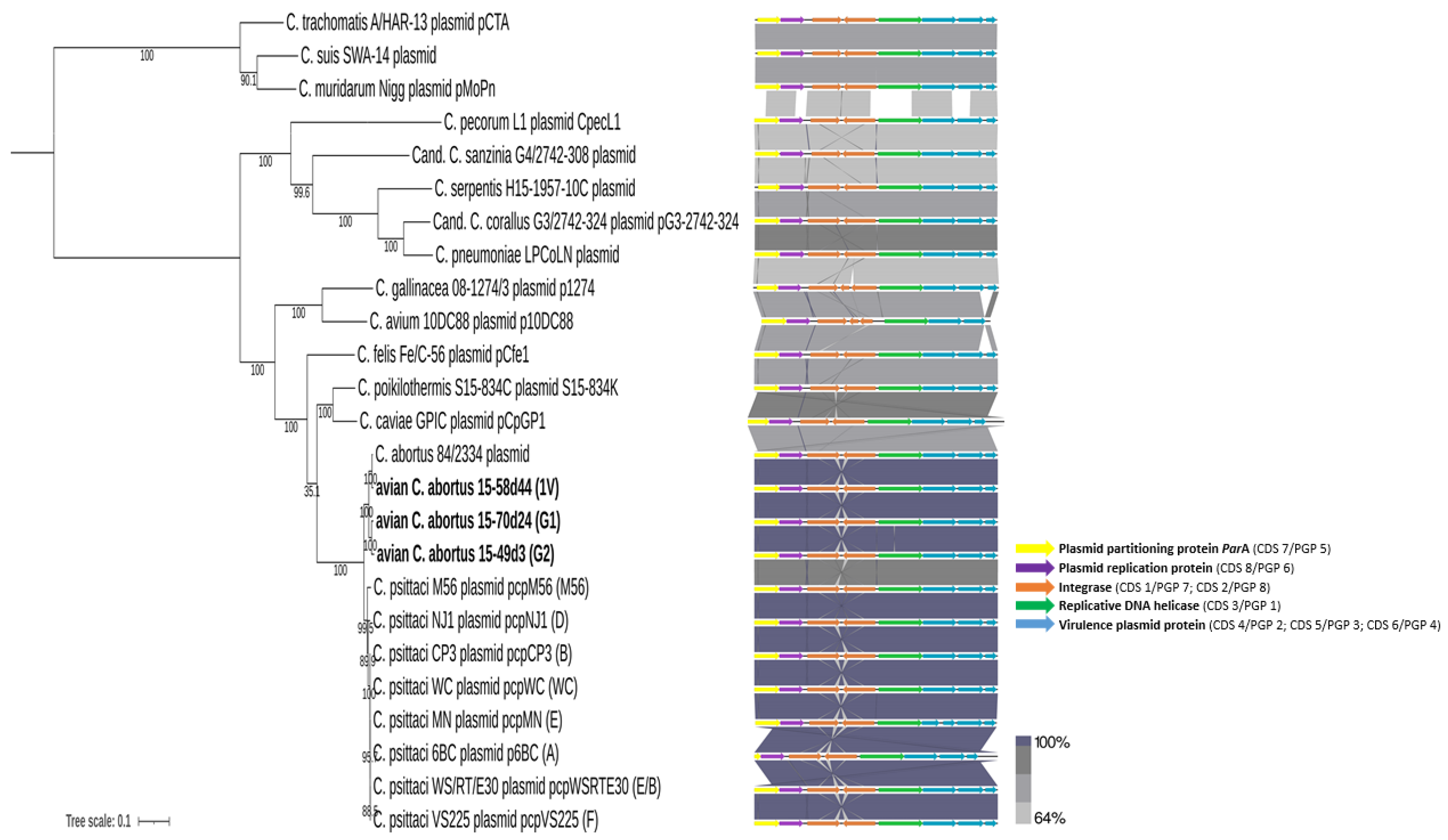 Pathogens 10 01405 g005