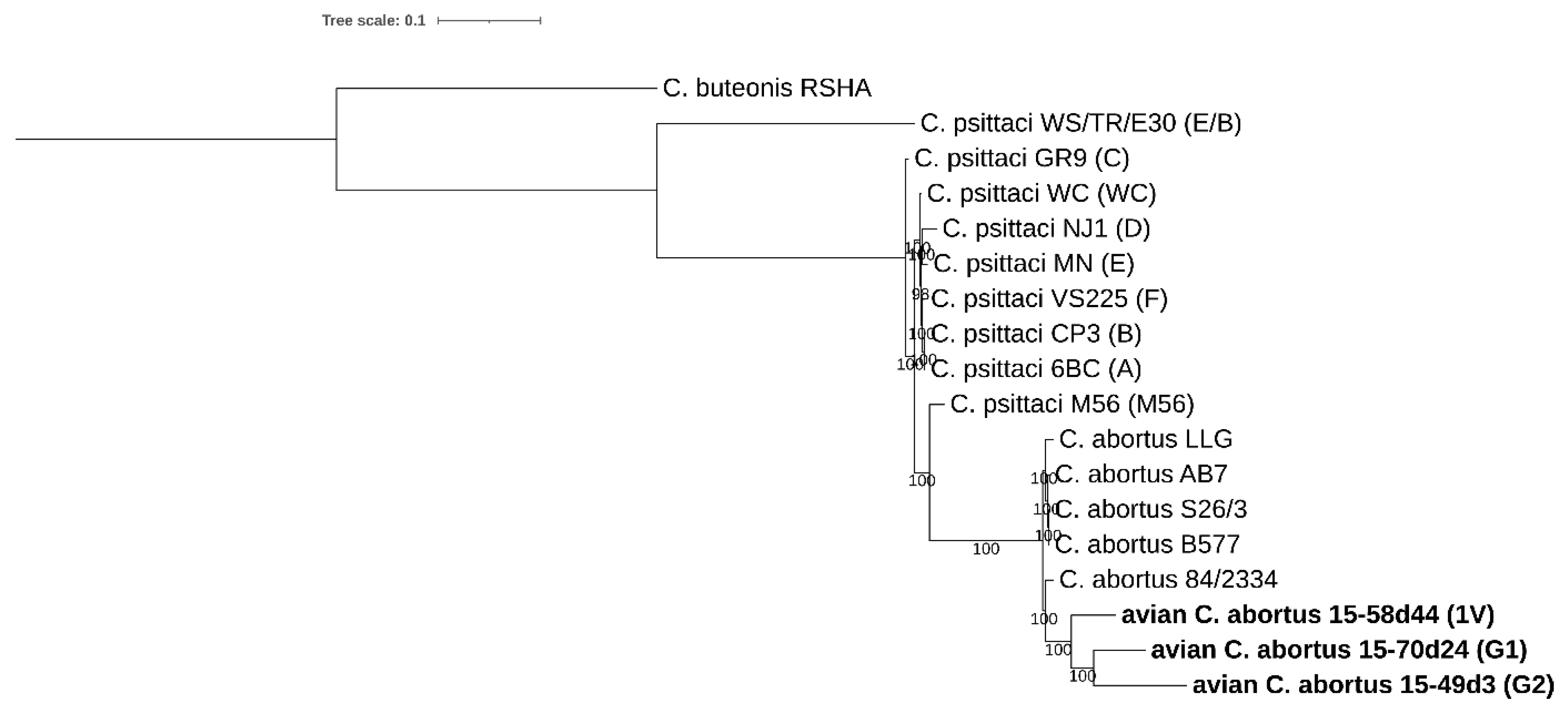 Pathogens 10 01405 g008