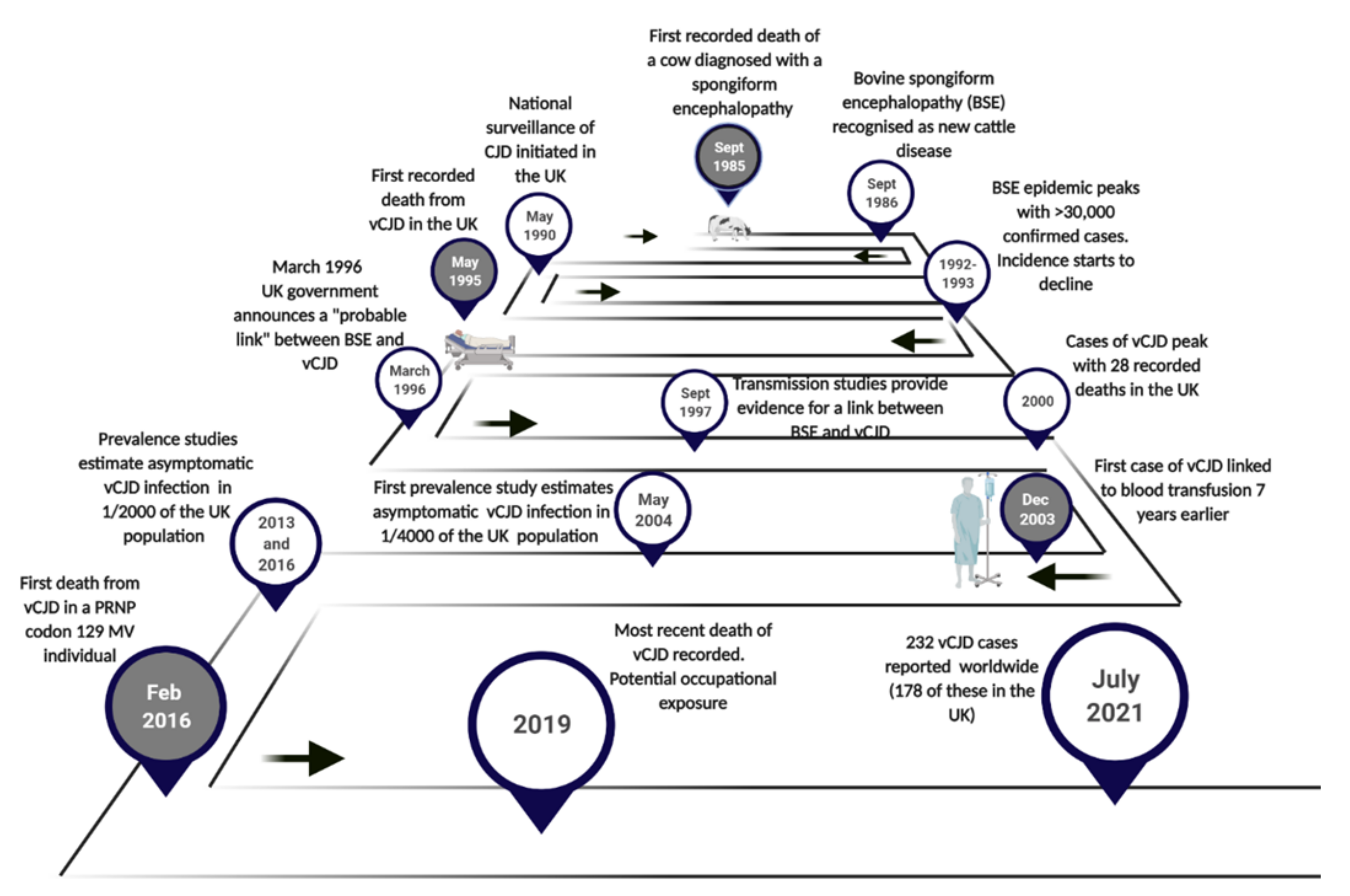 Pathogens 10 01413 g001