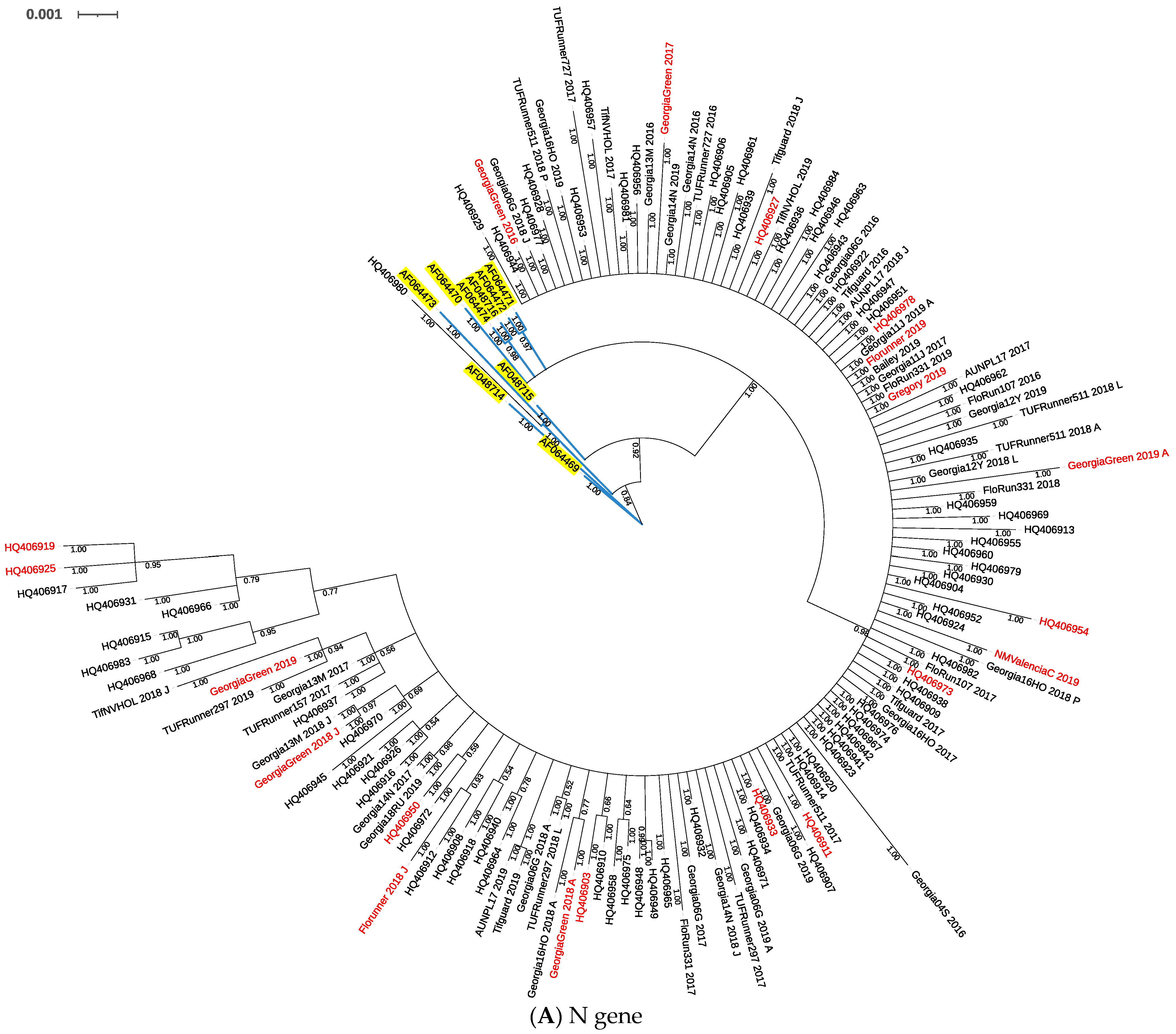 Pathogens 10 01418 g001a
