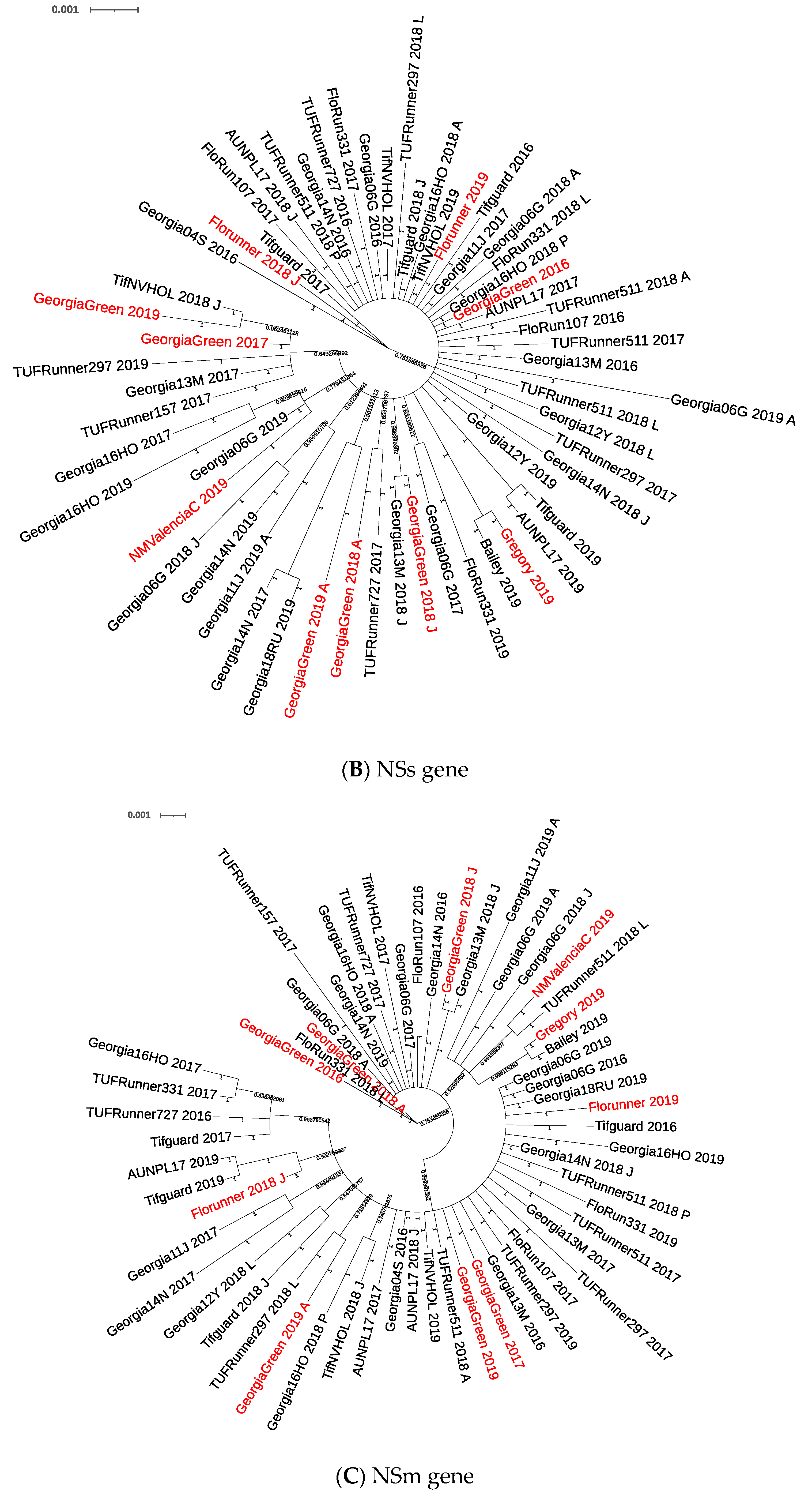 Pathogens 10 01418 g001b