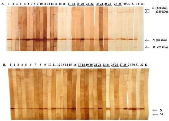 Pathogens 10 01421 g0a2
