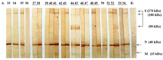 Pathogens 10 01421 g0a4a Pathogens 10 01421 g0a4a
