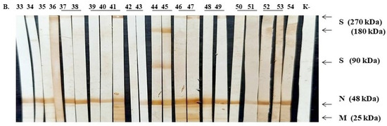 Pathogens 10 01421 g0a4b