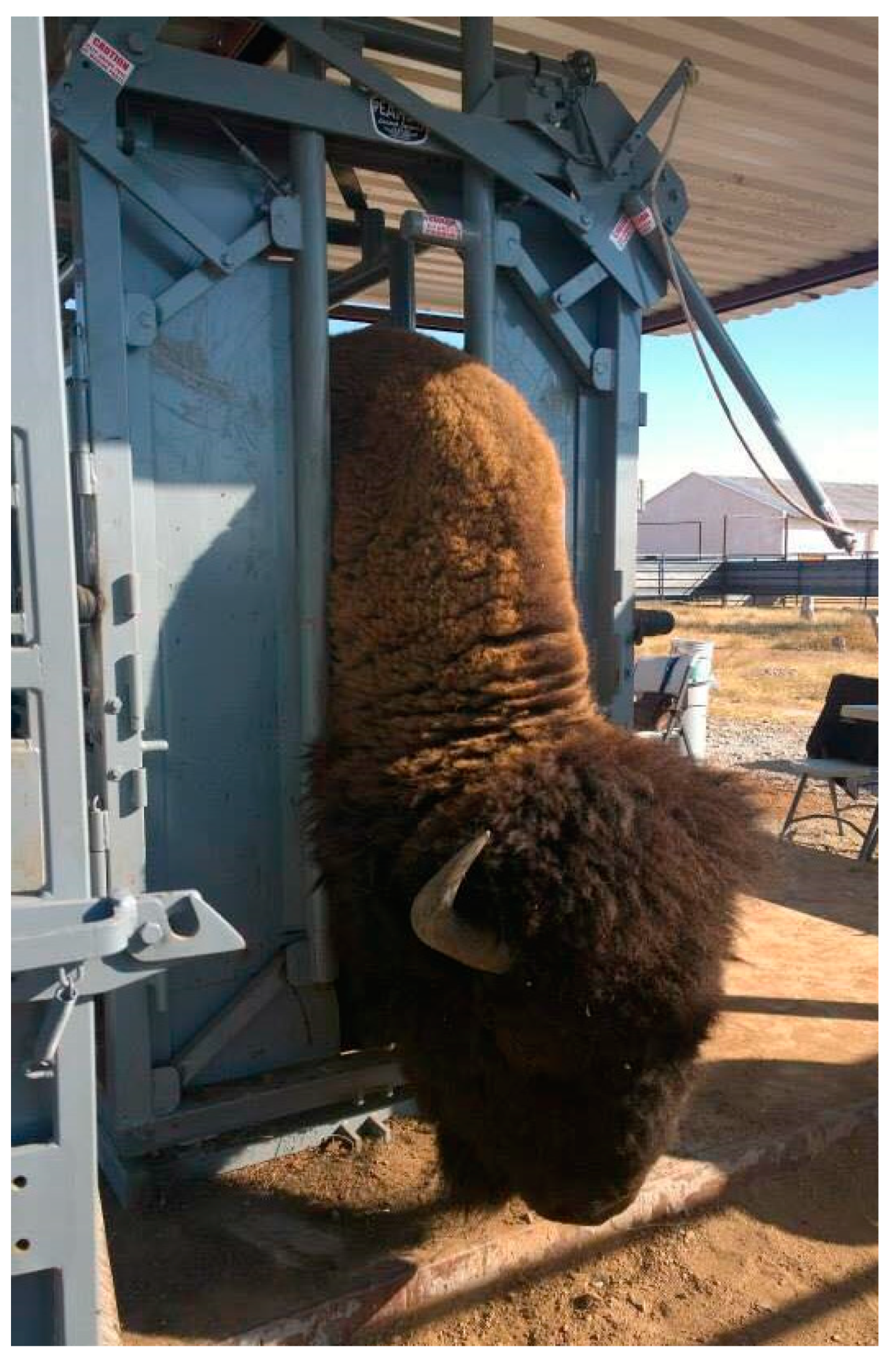 Pathogens 10 01428 g005