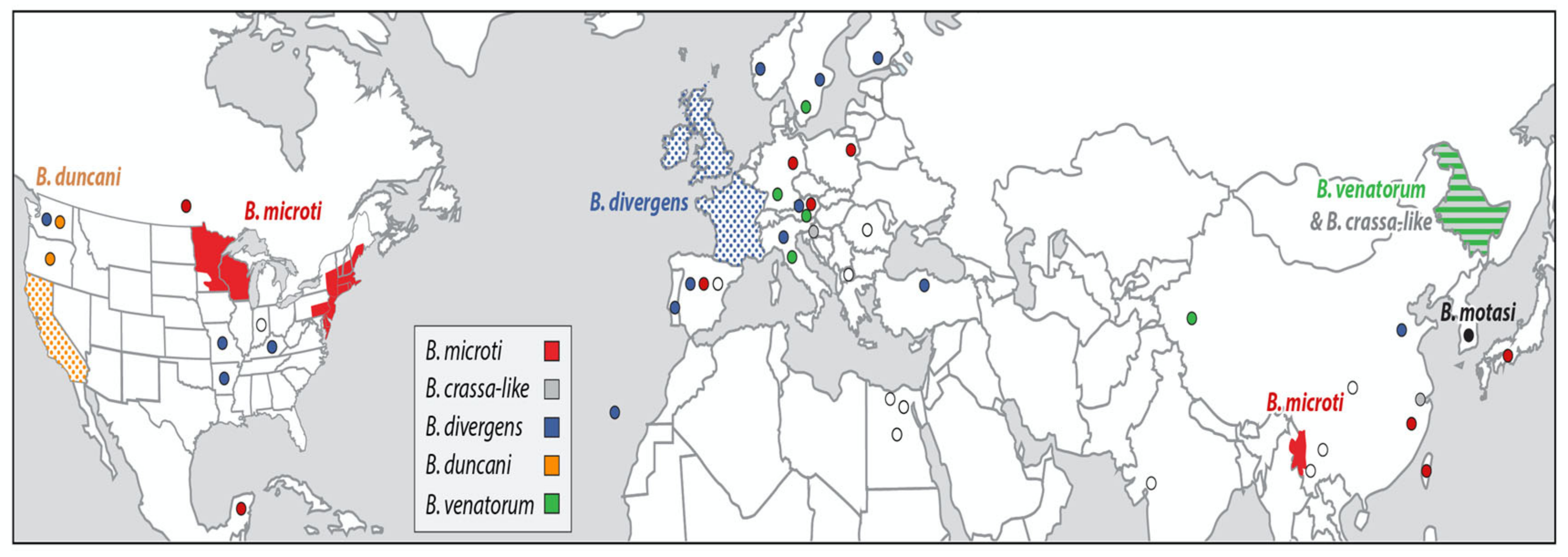 Pathogens 10 01447 g001
