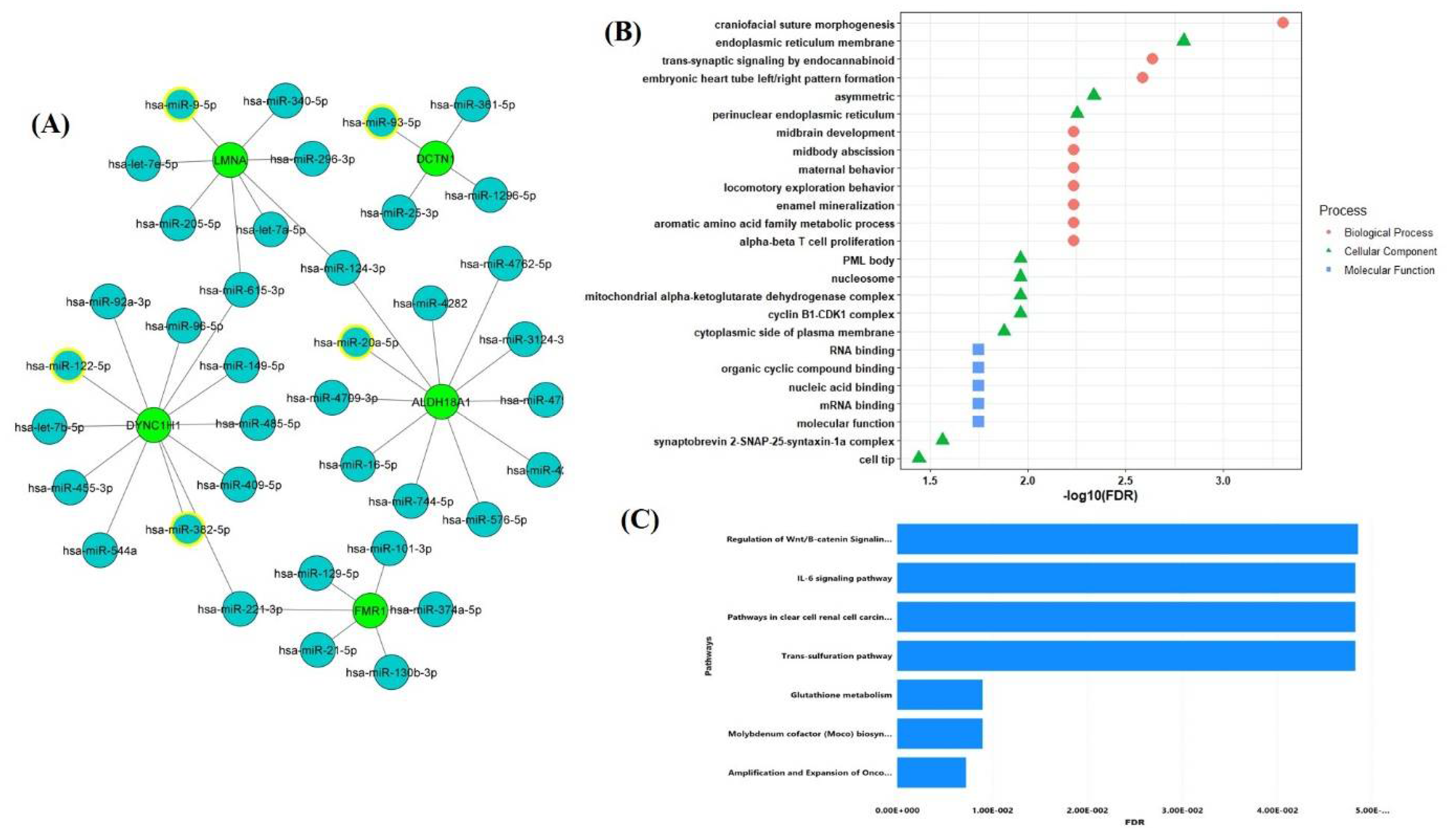 Pathogens 10 01459 g006 Pathogens 10 01459 g006