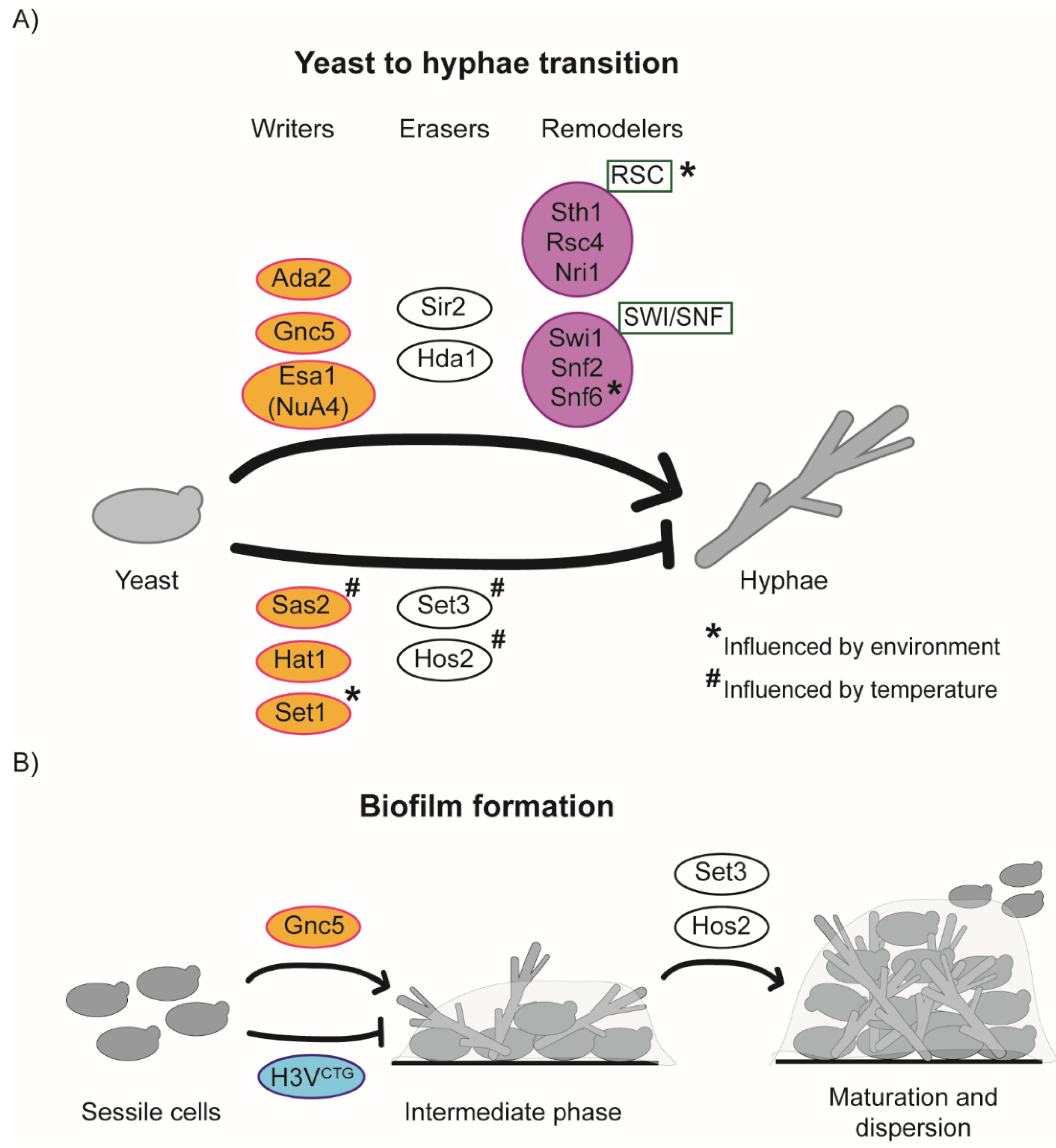 Pathogens 10 01463 g005