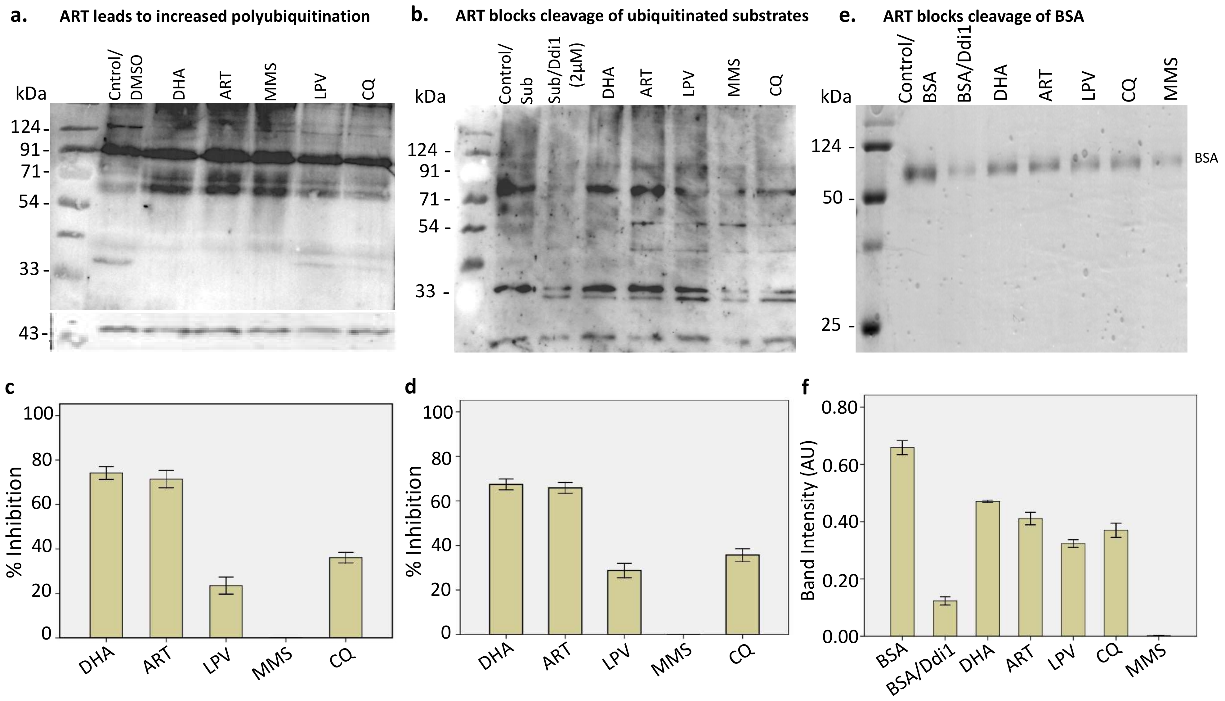 Pathogens 10 01465 g002 Pathogens 10 01465 g002