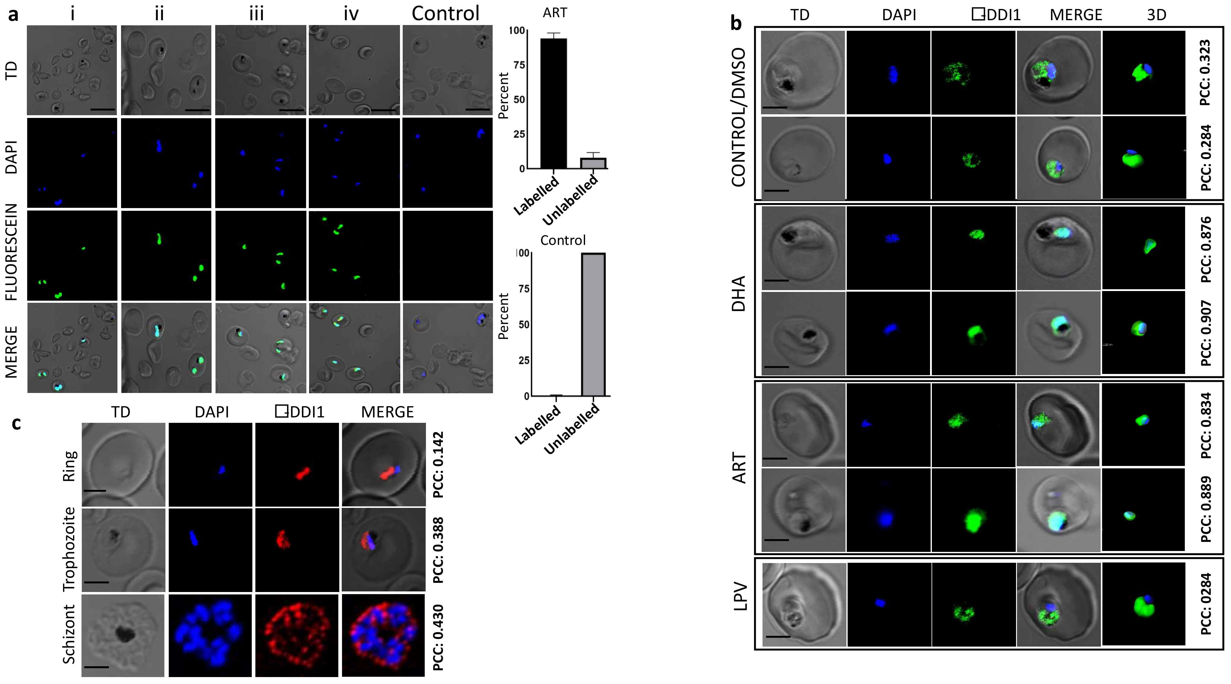Pathogens 10 01465 g003 Pathogens 10 01465 g003