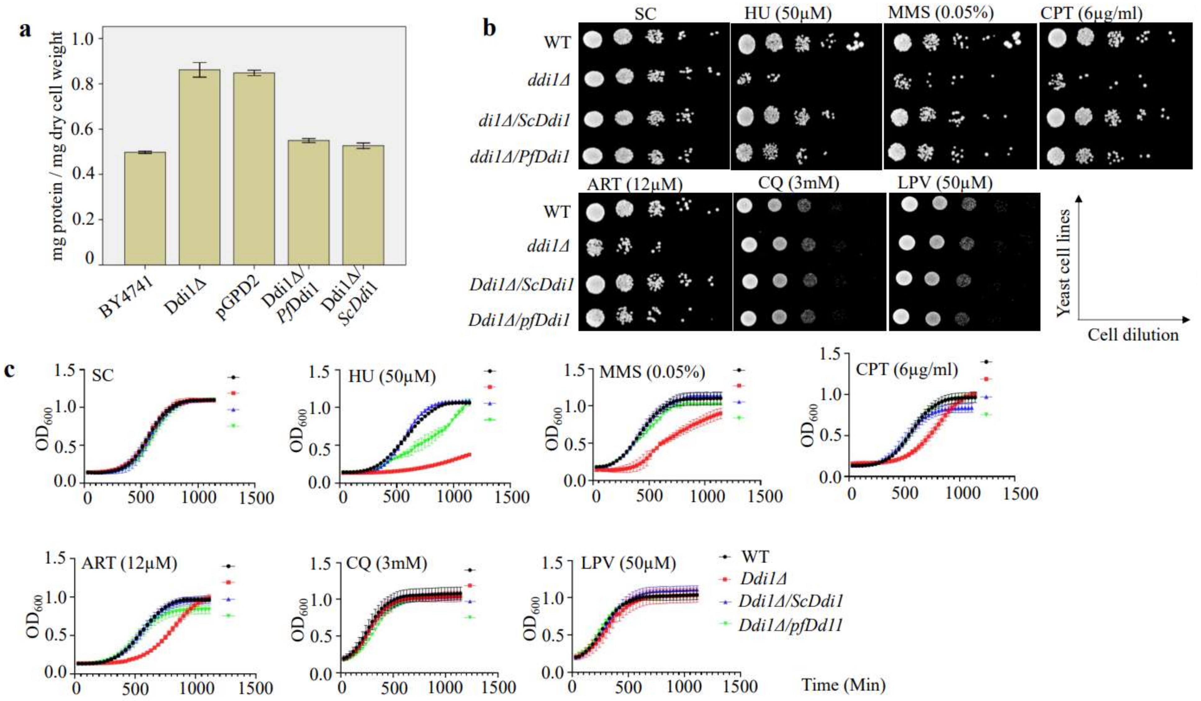 Pathogens 10 01465 g006 Pathogens 10 01465 g006