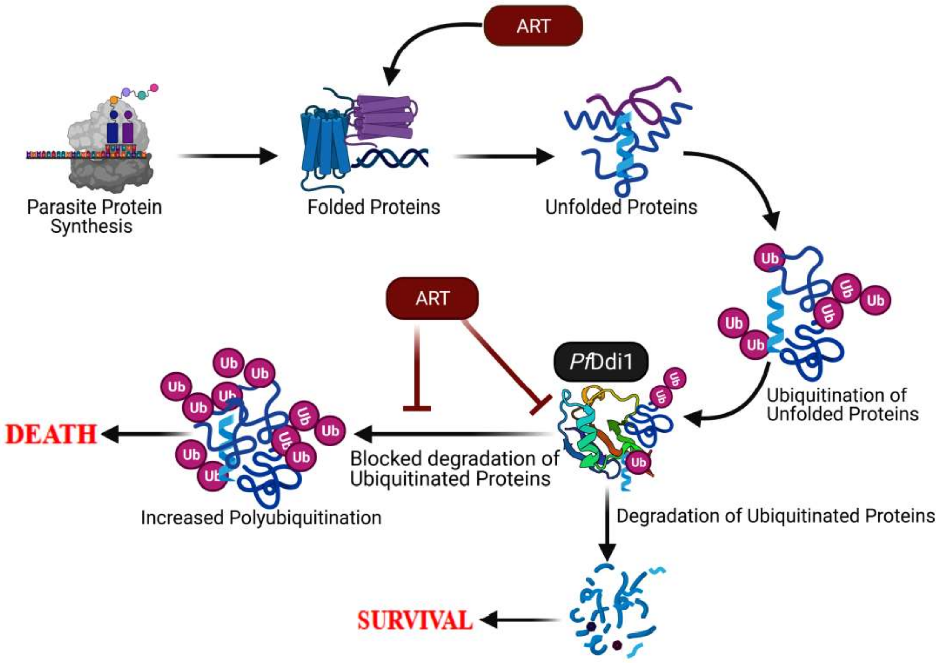Pathogens 10 01465 g007 Pathogens 10 01465 g007