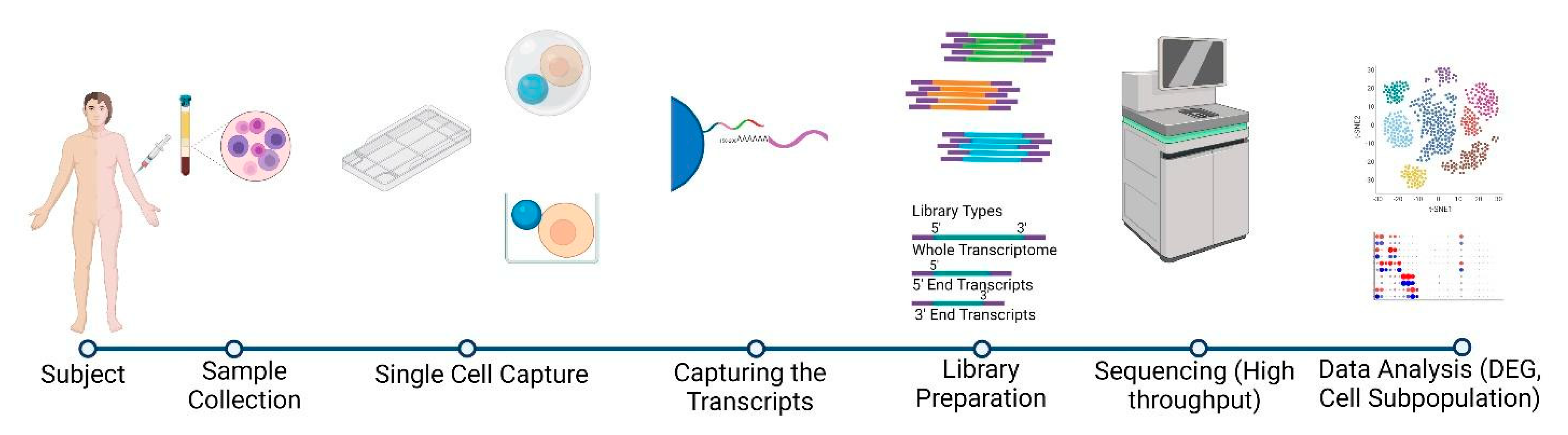 Pathogens 10 01467 g002