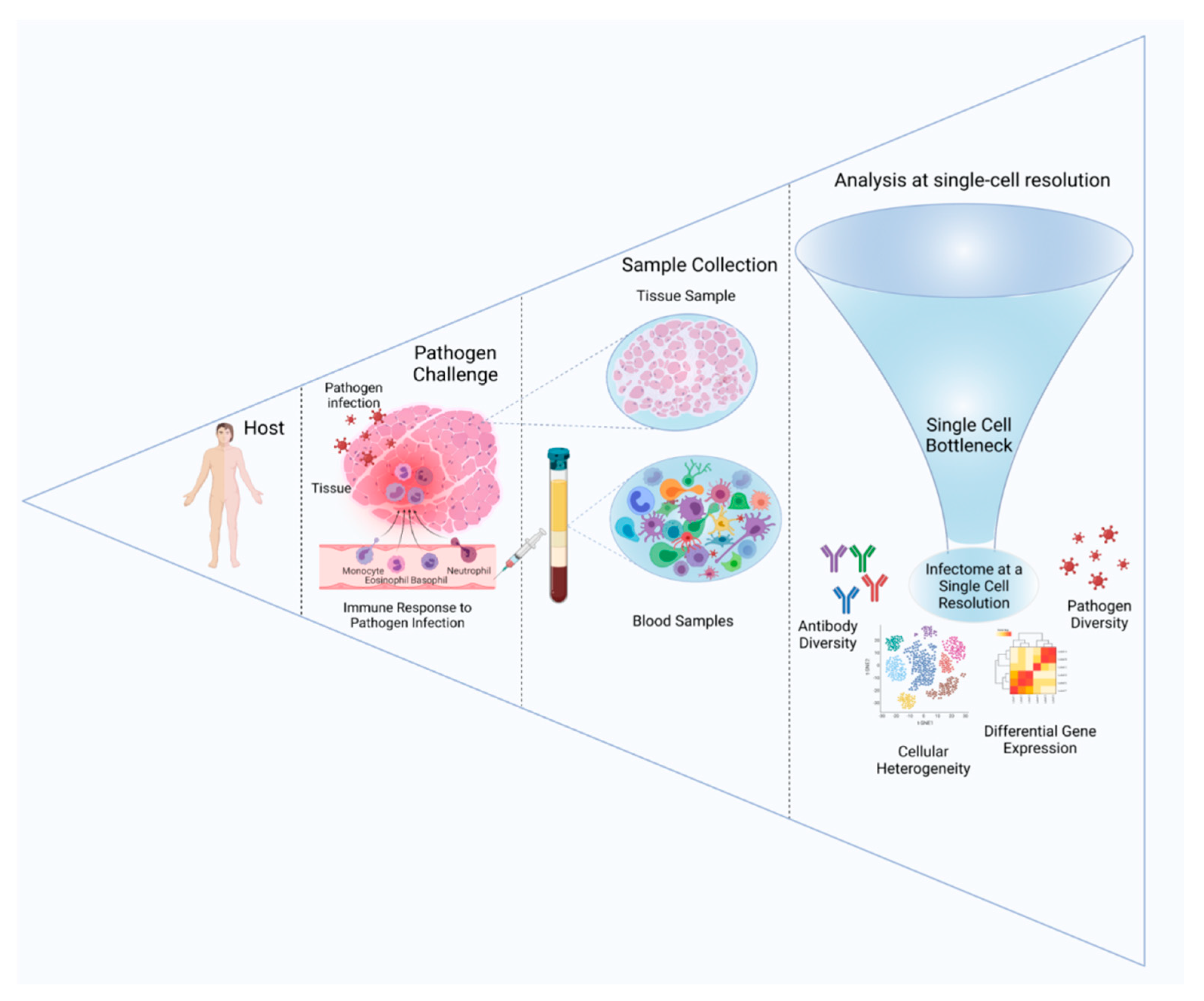 Pathogens 10 01467 g004
