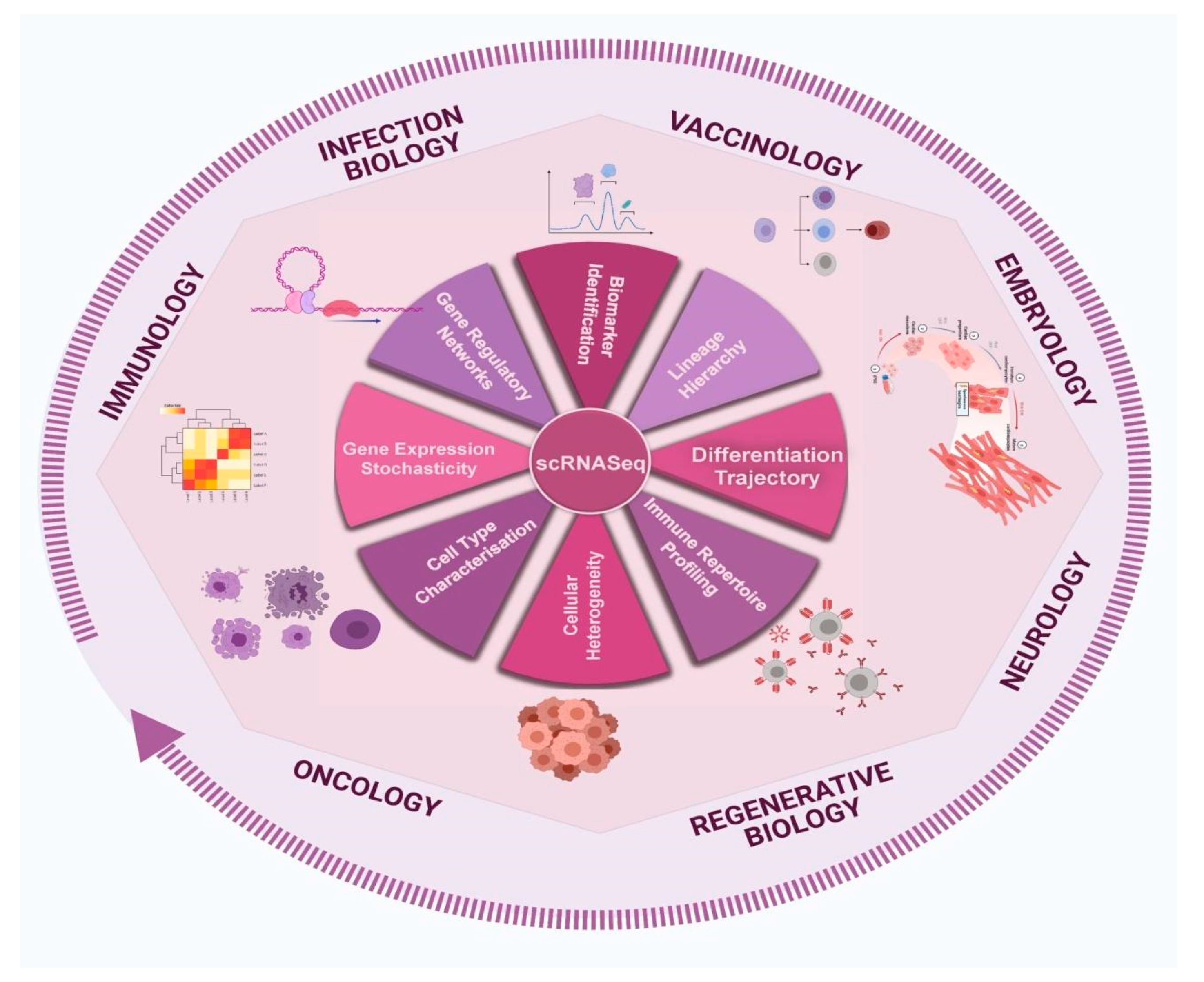 Pathogens 10 01467 g005